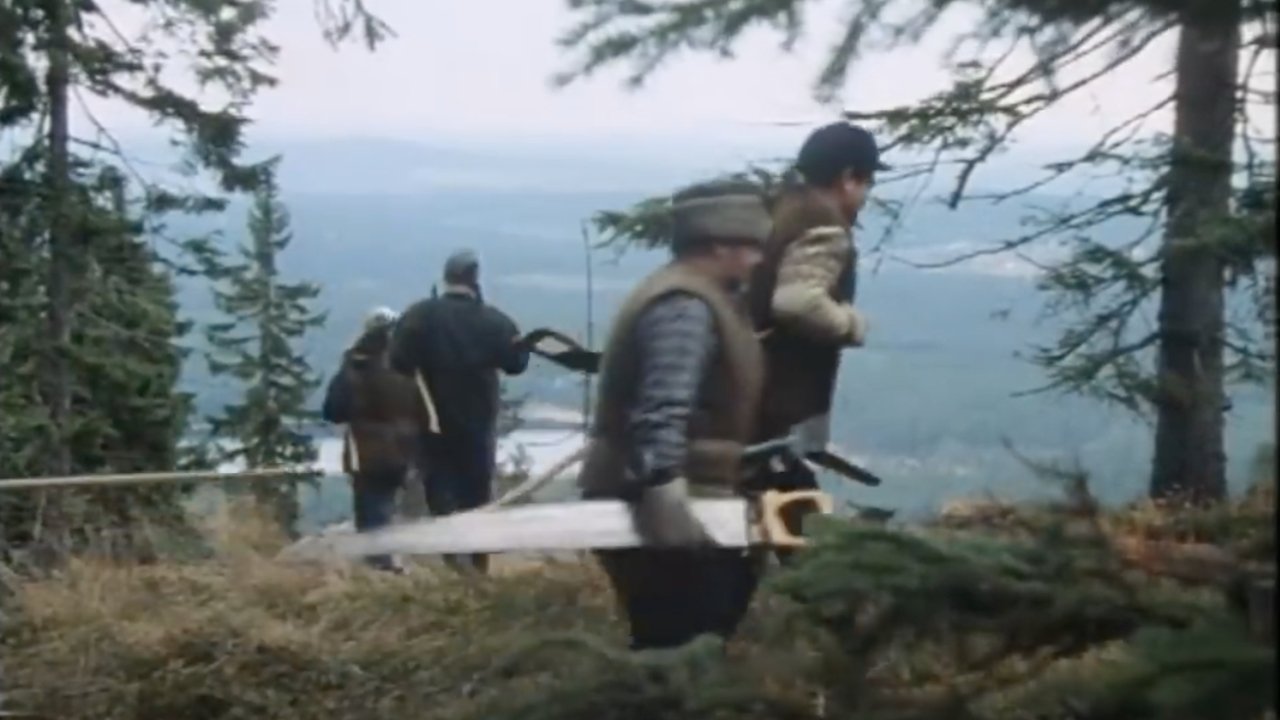 Backdrop for The Chainsaw