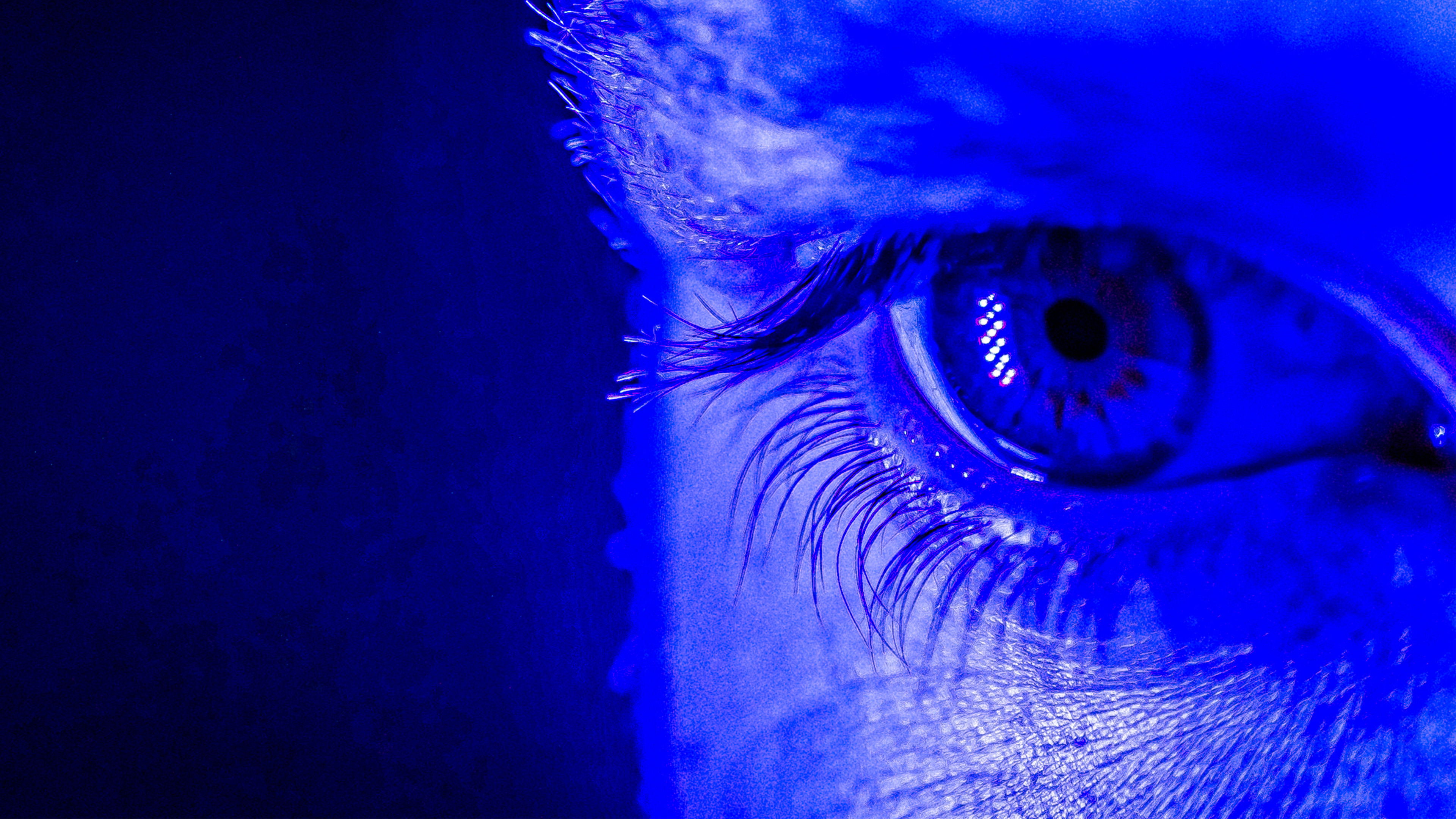 Backdrop for RACCOONS