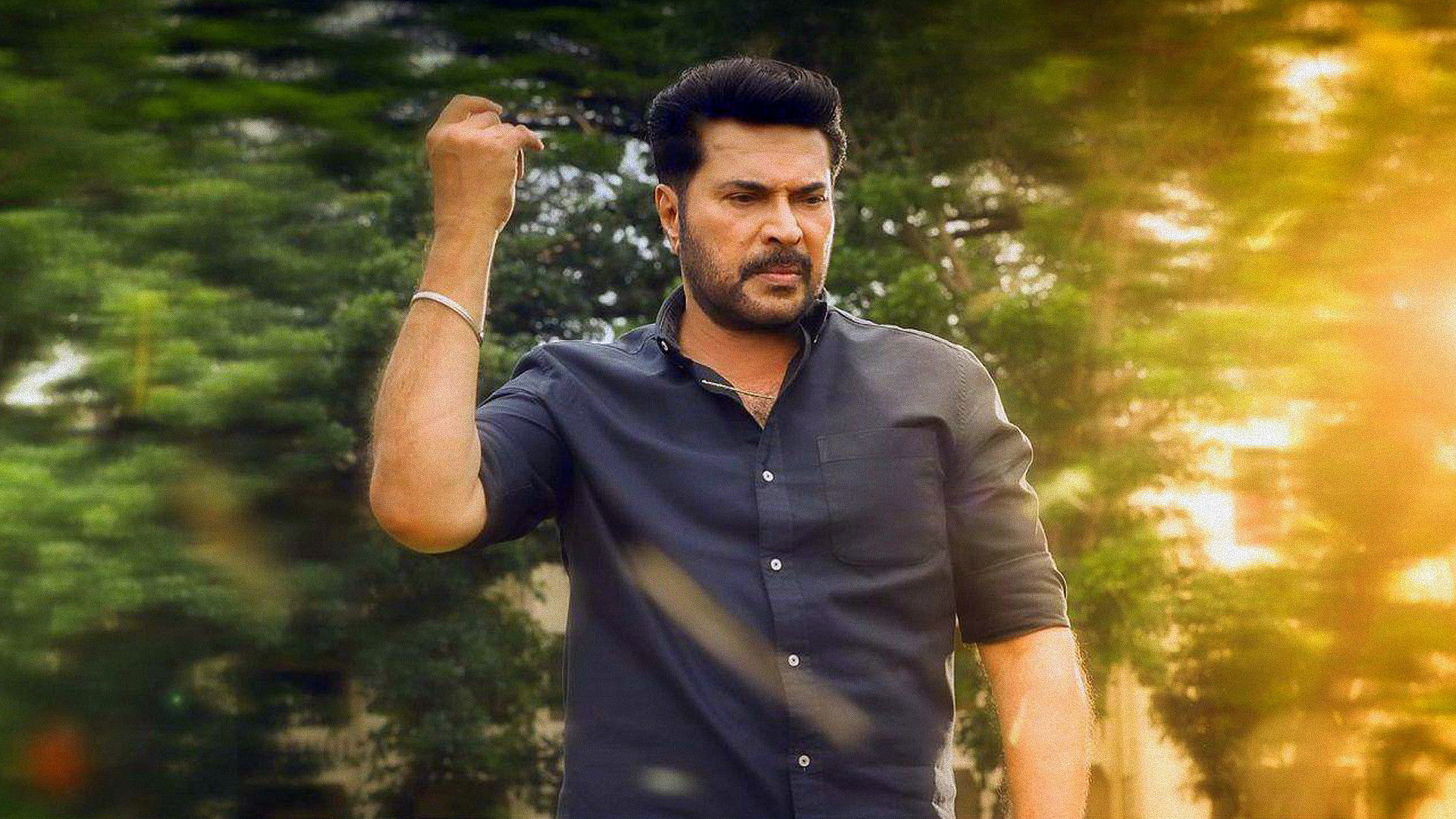 Backdrop for Masterpiece