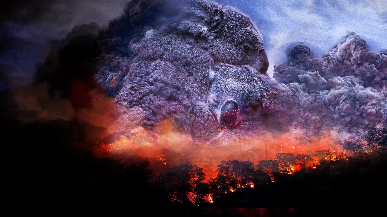 Backdrop for Wild Australia: After the Fires