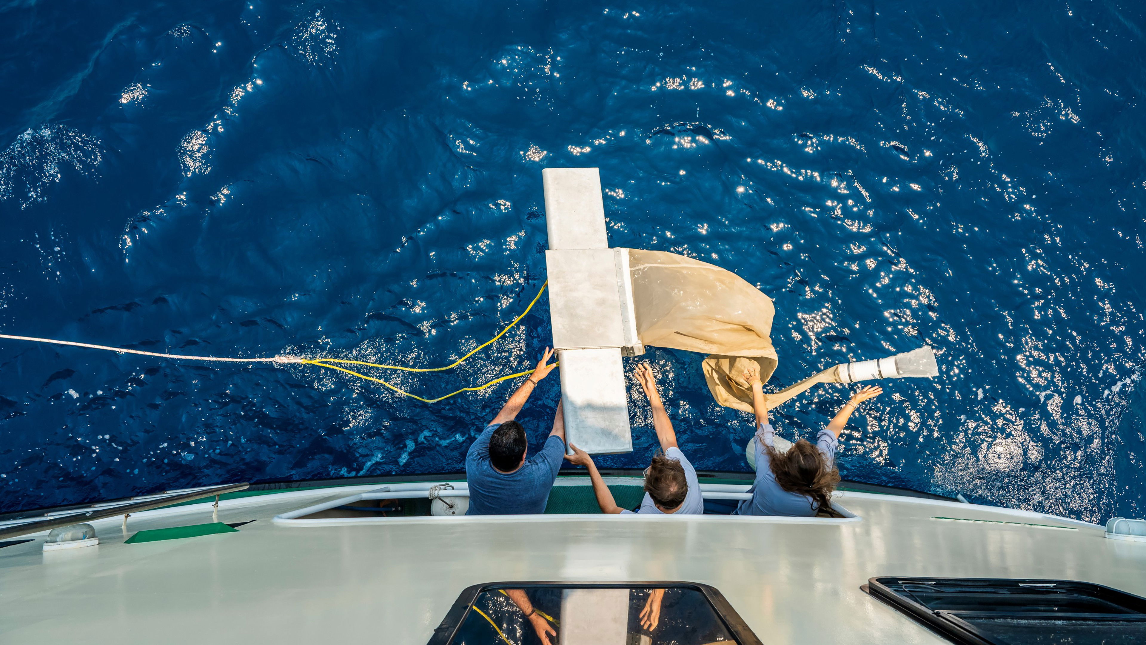 Backdrop for Plasticsphere