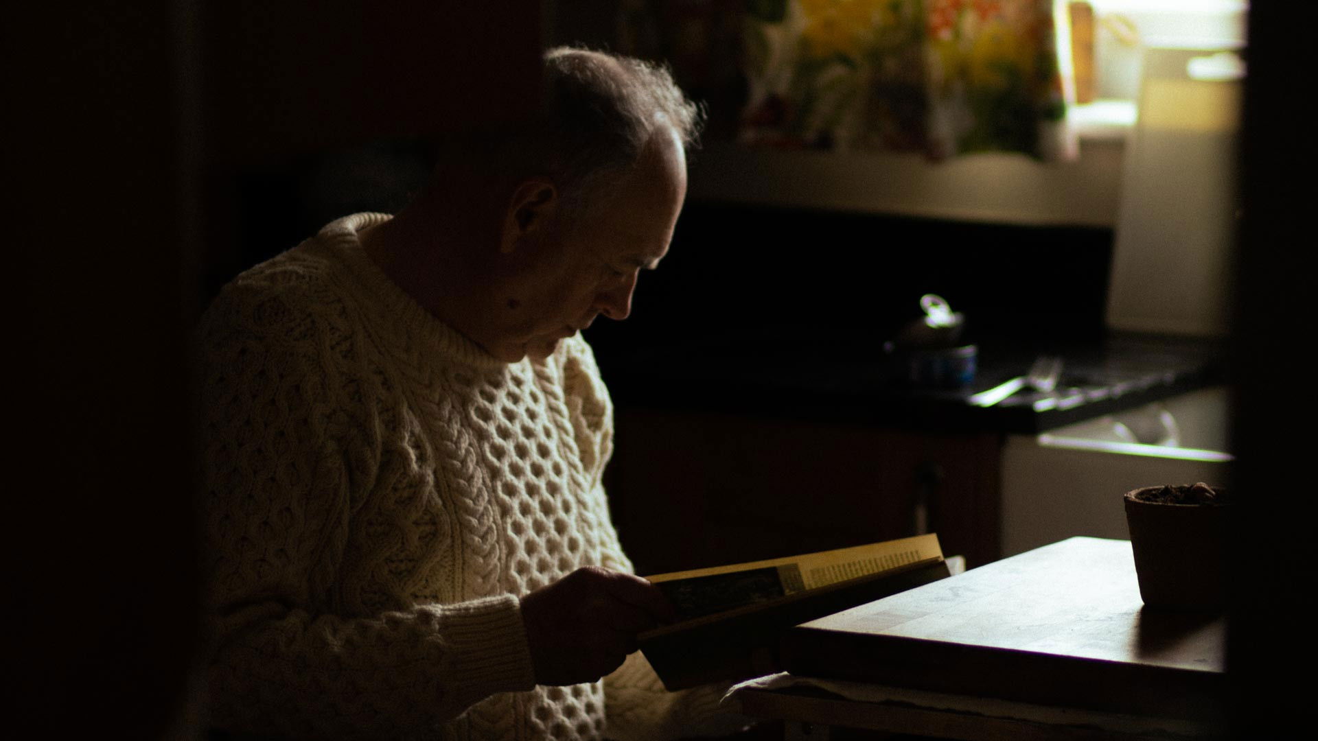 Backdrop for Sonflower