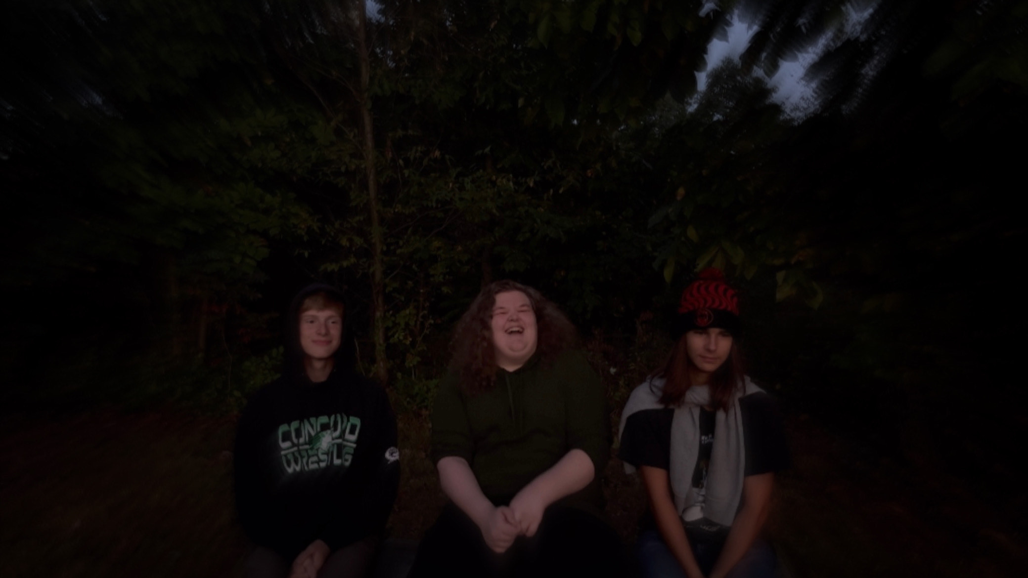 Backdrop for The Homestead