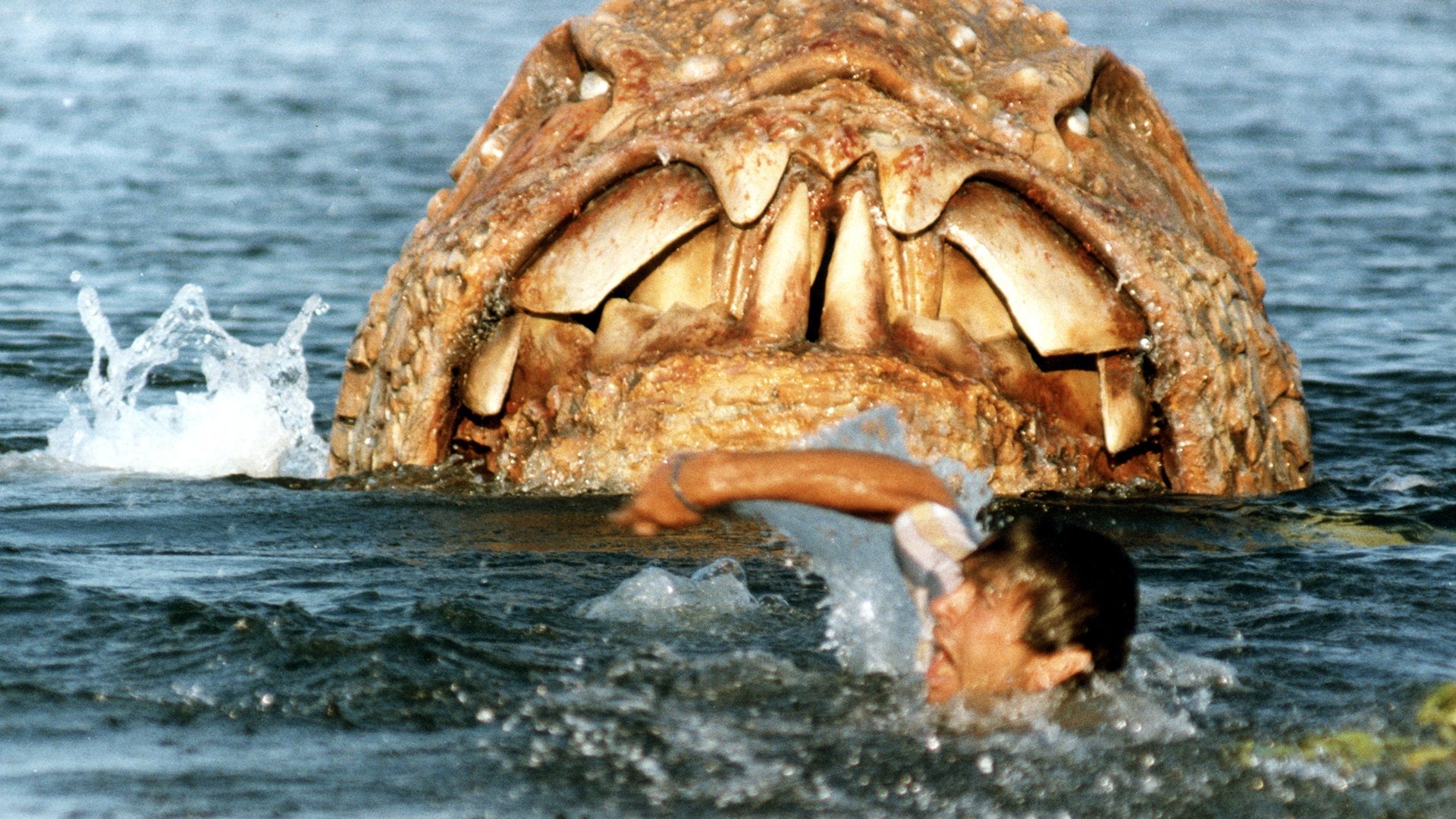 Backdrop for Devil Fish