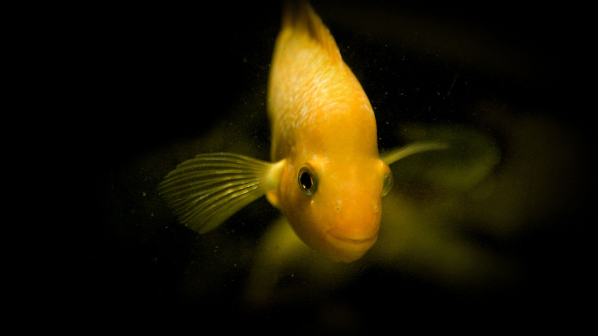 Backdrop for Taking Stock