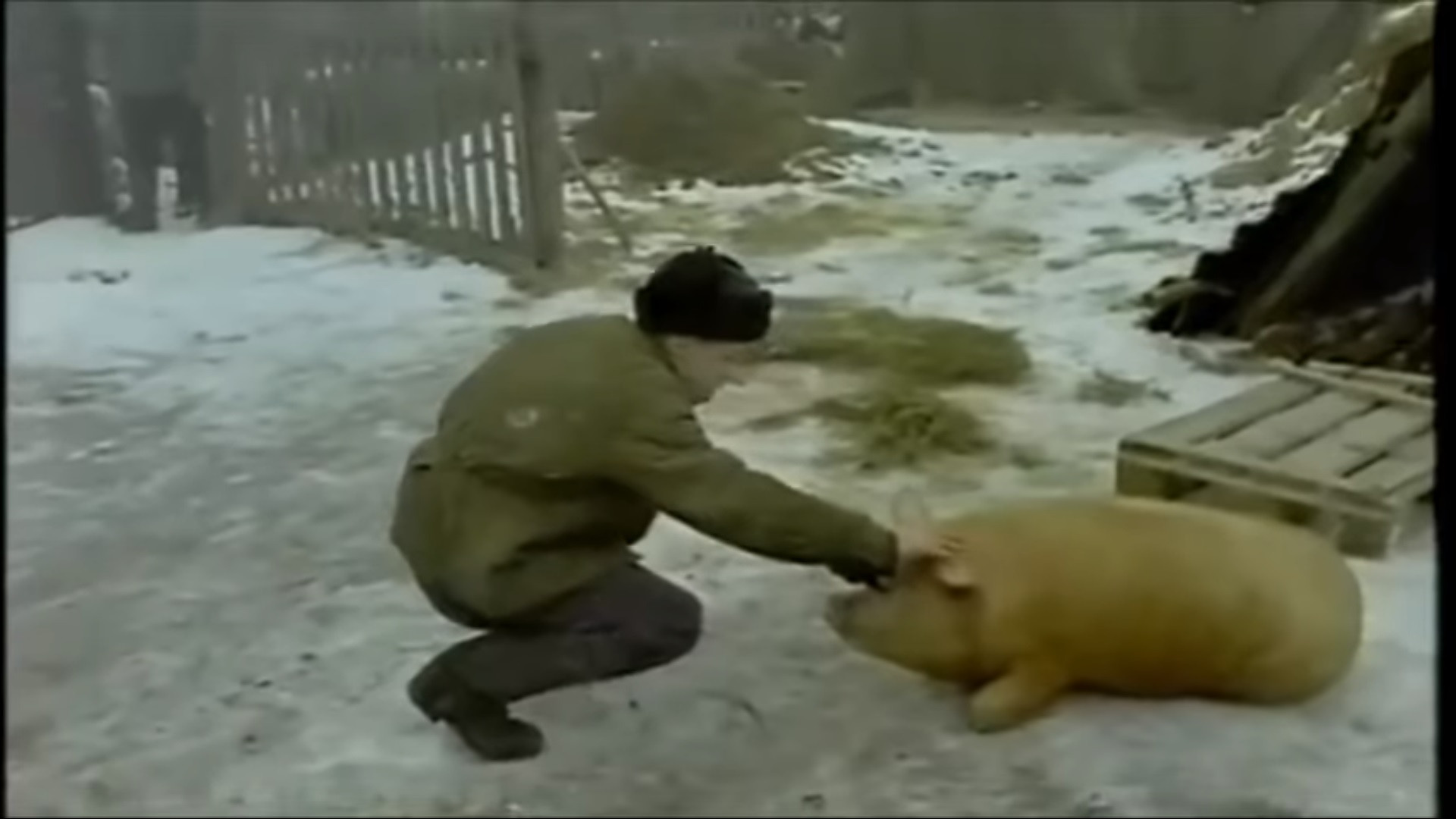 Backdrop for An Independent Life