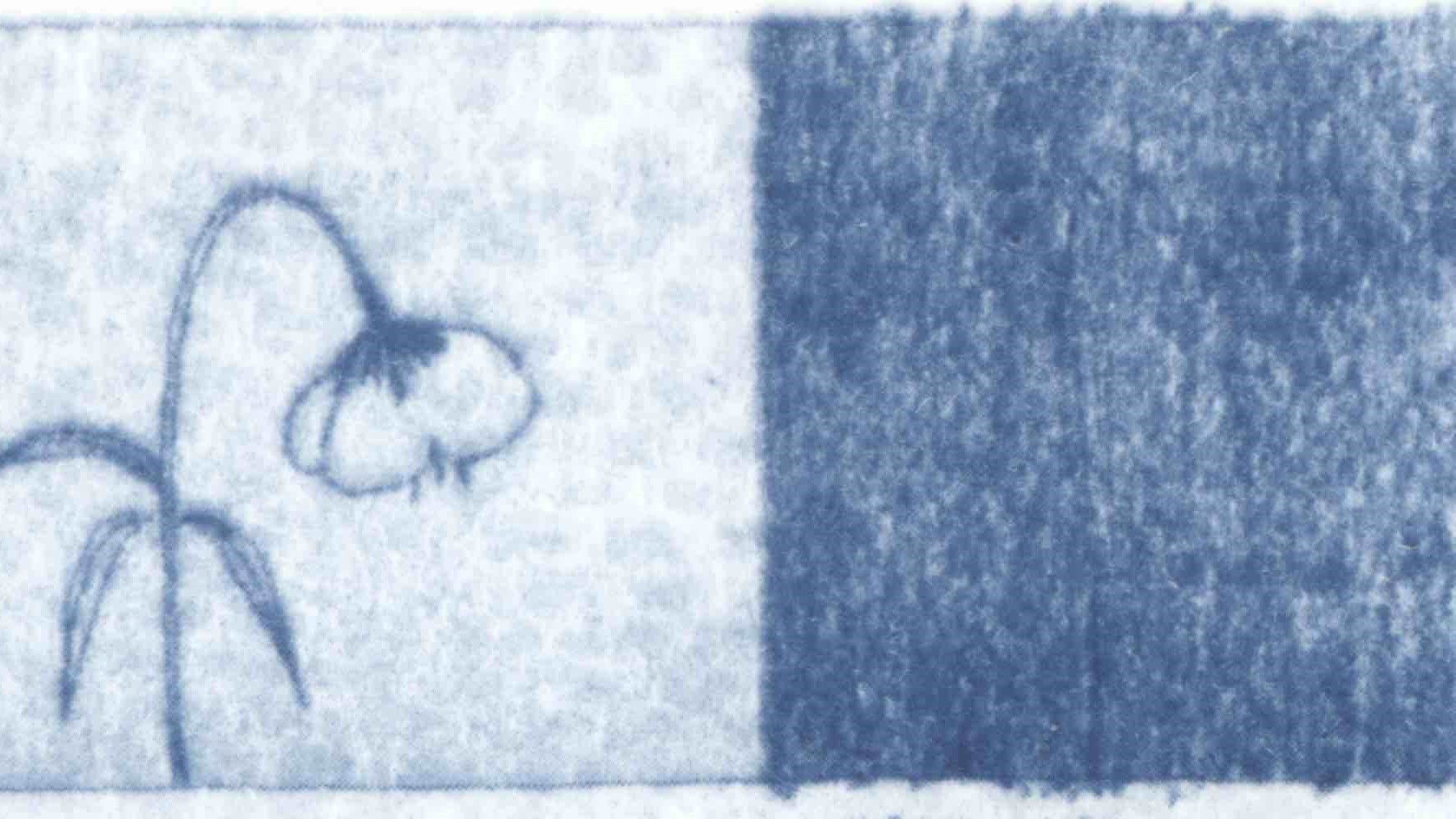 Backdrop for Blue Dreams of the Wind