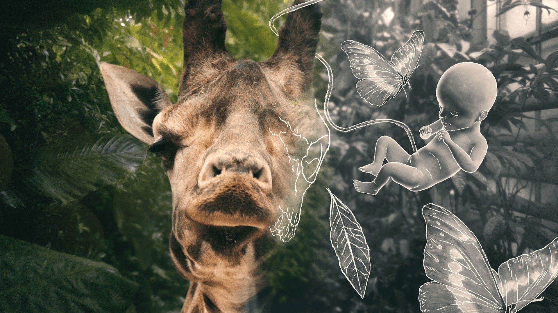 Backdrop for Life and Other Problems