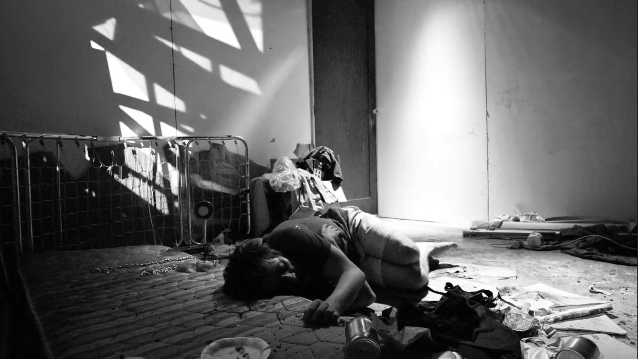 Backdrop for Perros Serán