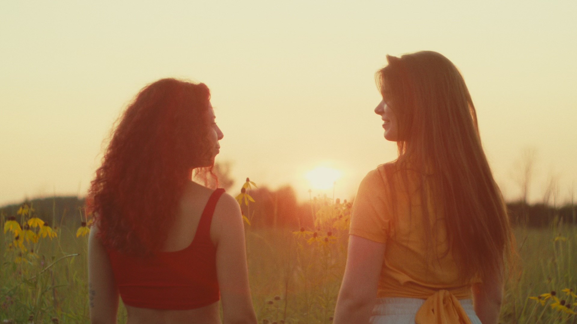 Backdrop for The Beauty of Letting Go