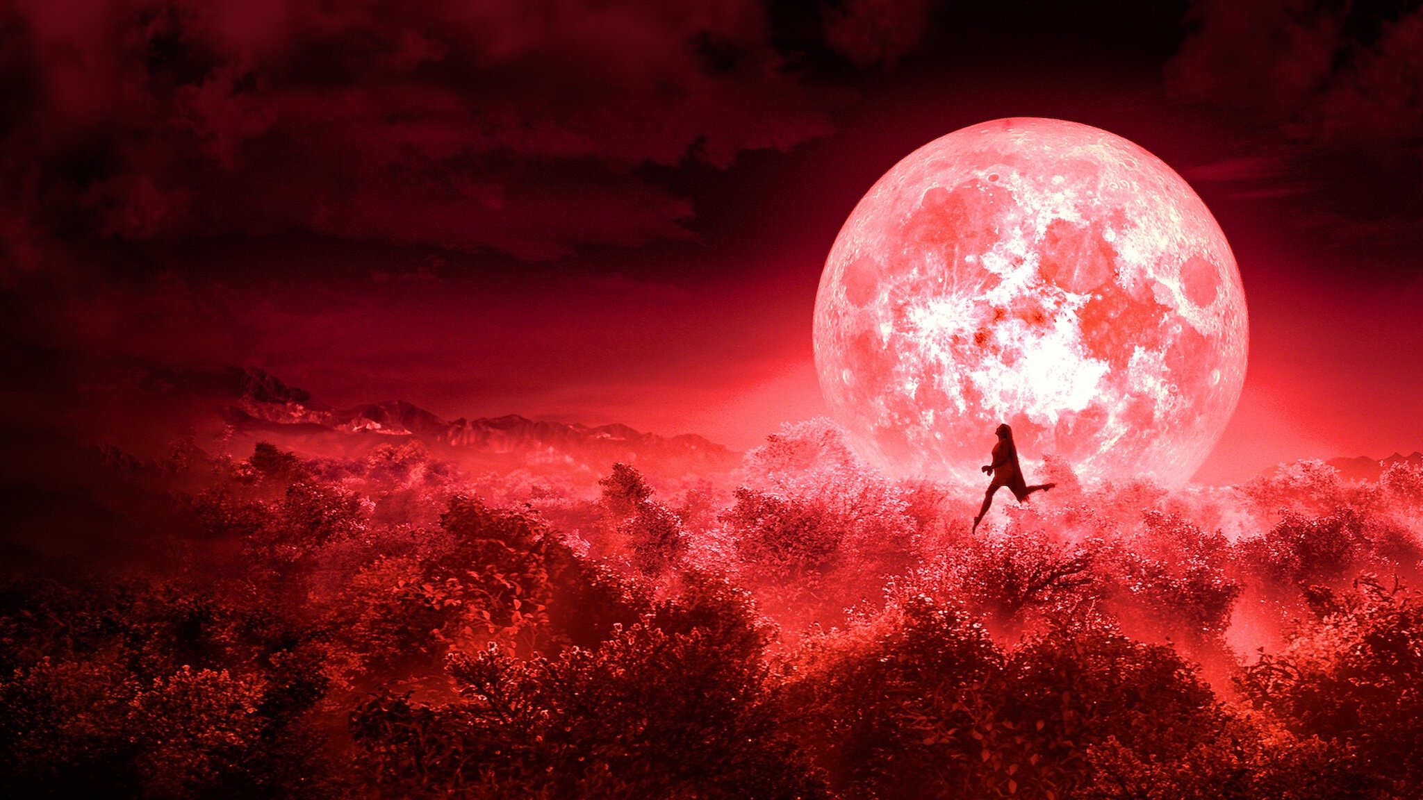 Backdrop for Bulbbul