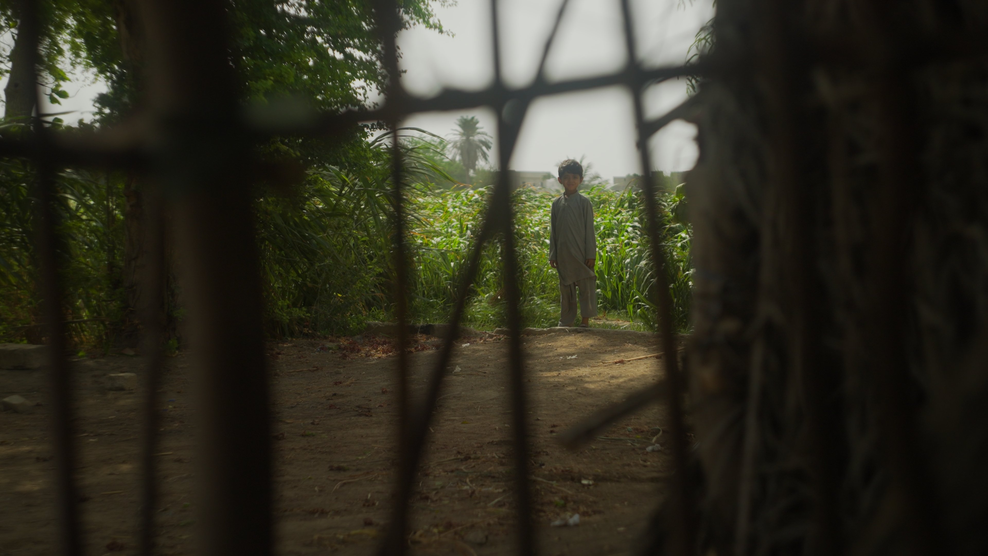 Backdrop for Portrait Of Life