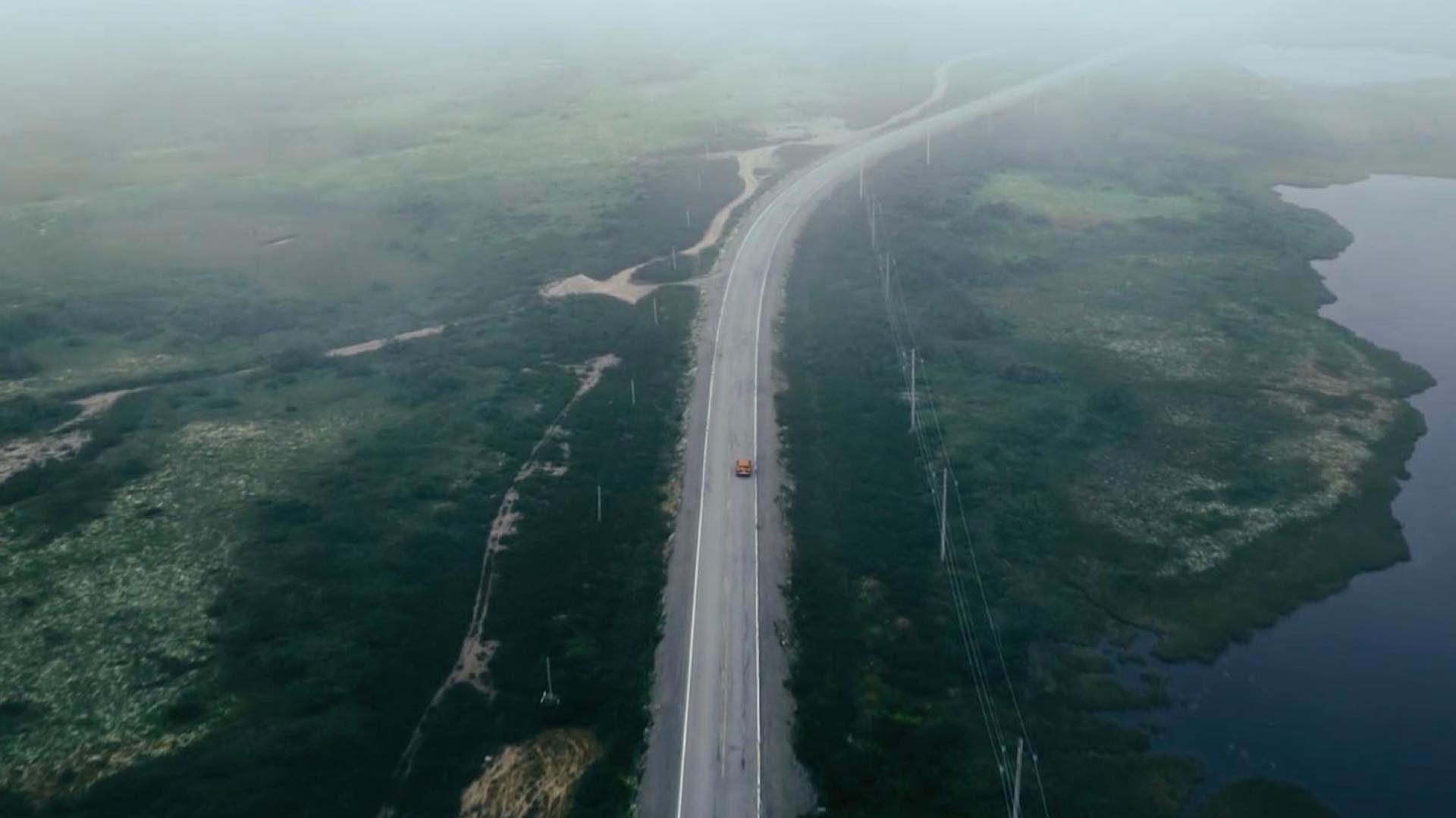 Backdrop for Blueberries for Iris