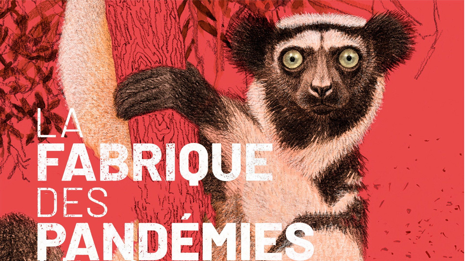 Backdrop for La fabrique des pandémies