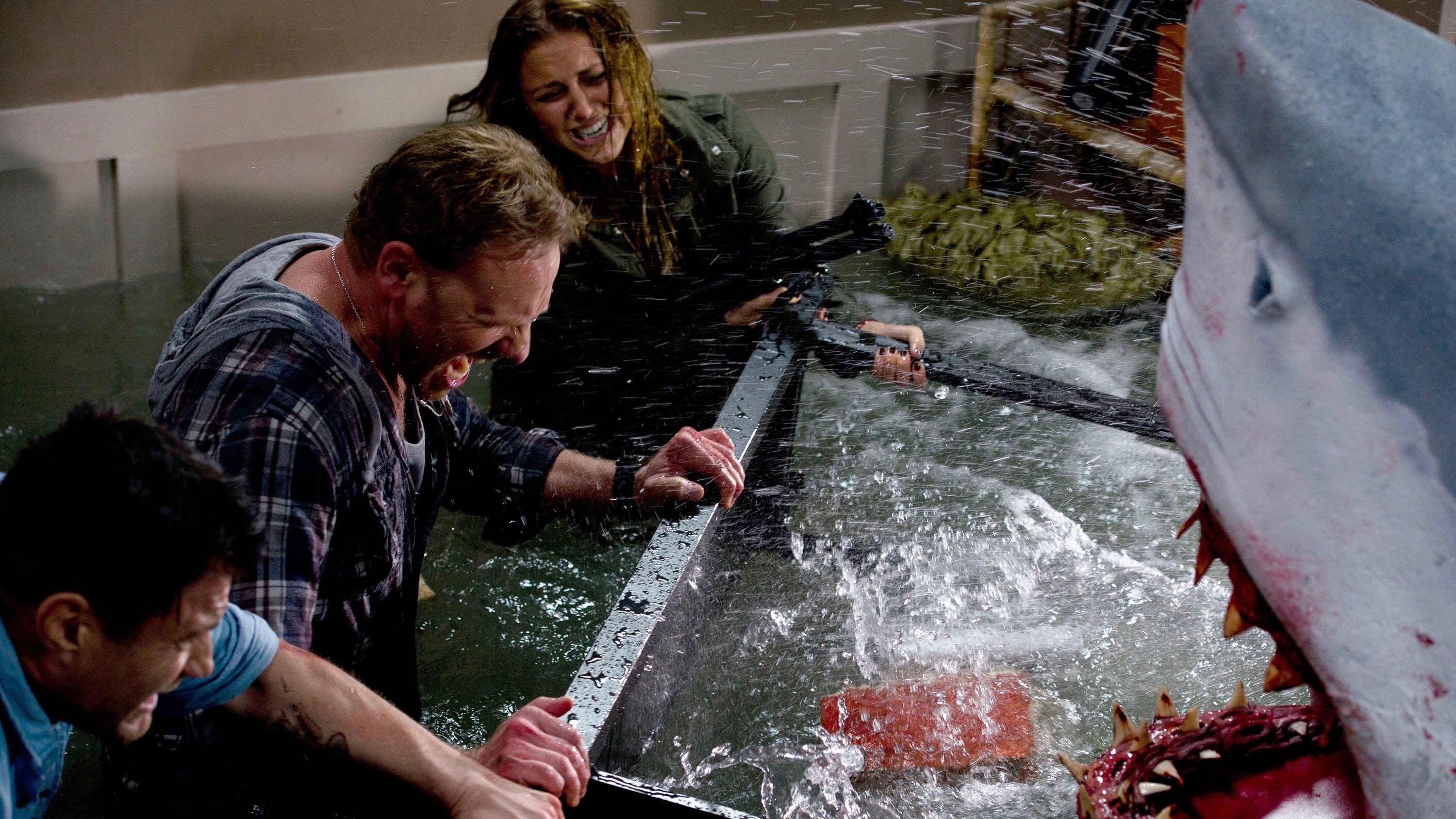 Backdrop for Sharknado