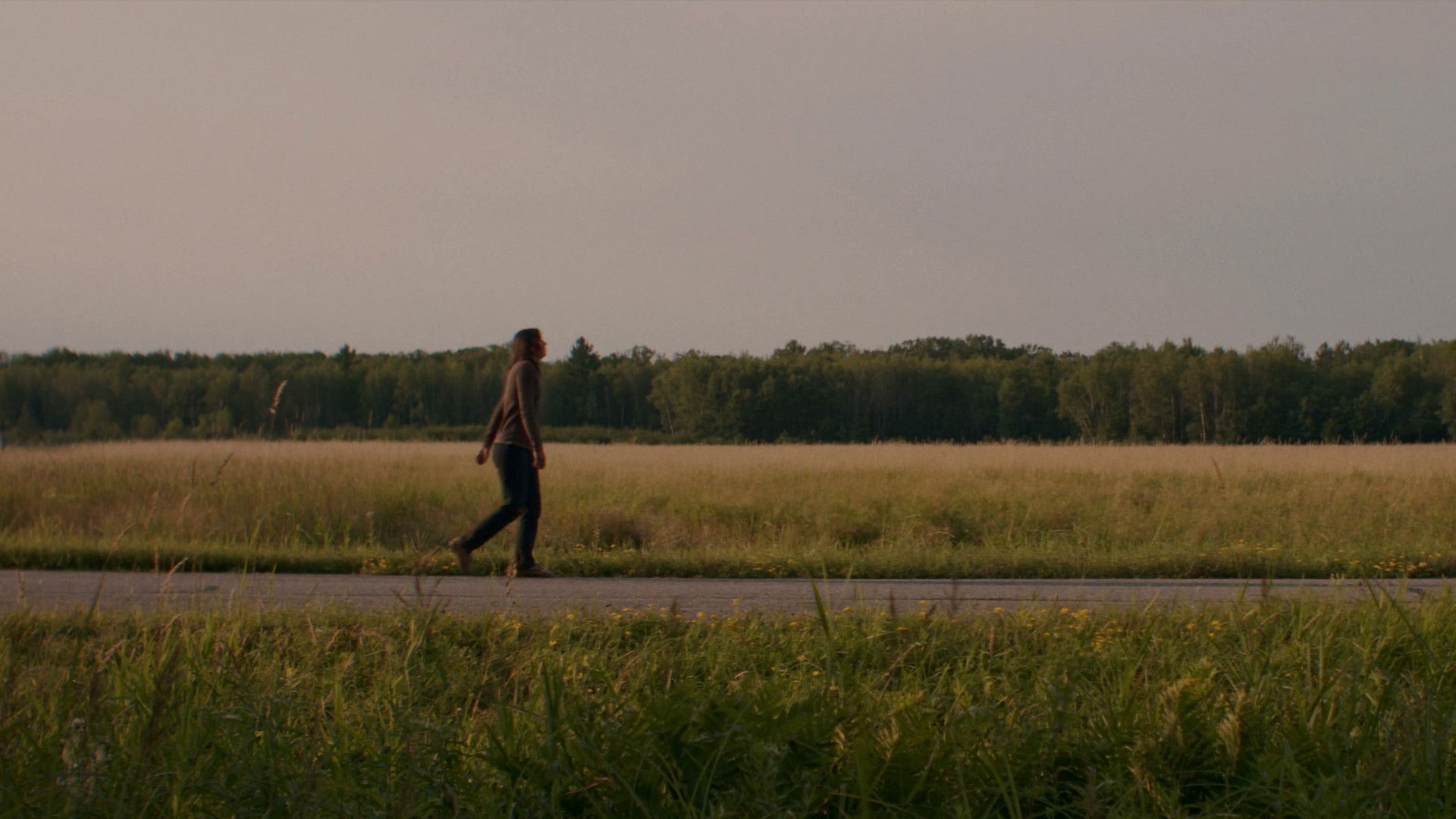 Backdrop for Blossom Needs A Ride Home