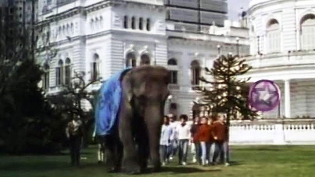 Backdrop for Un elefante en banda