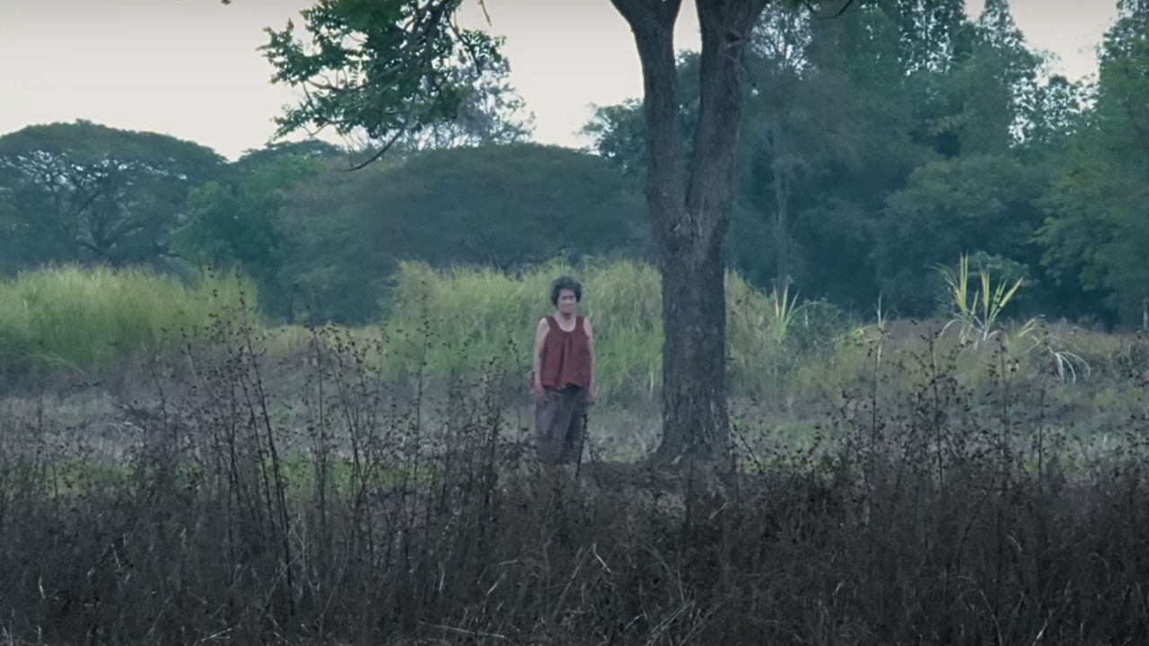 Backdrop for The Haunted Granny