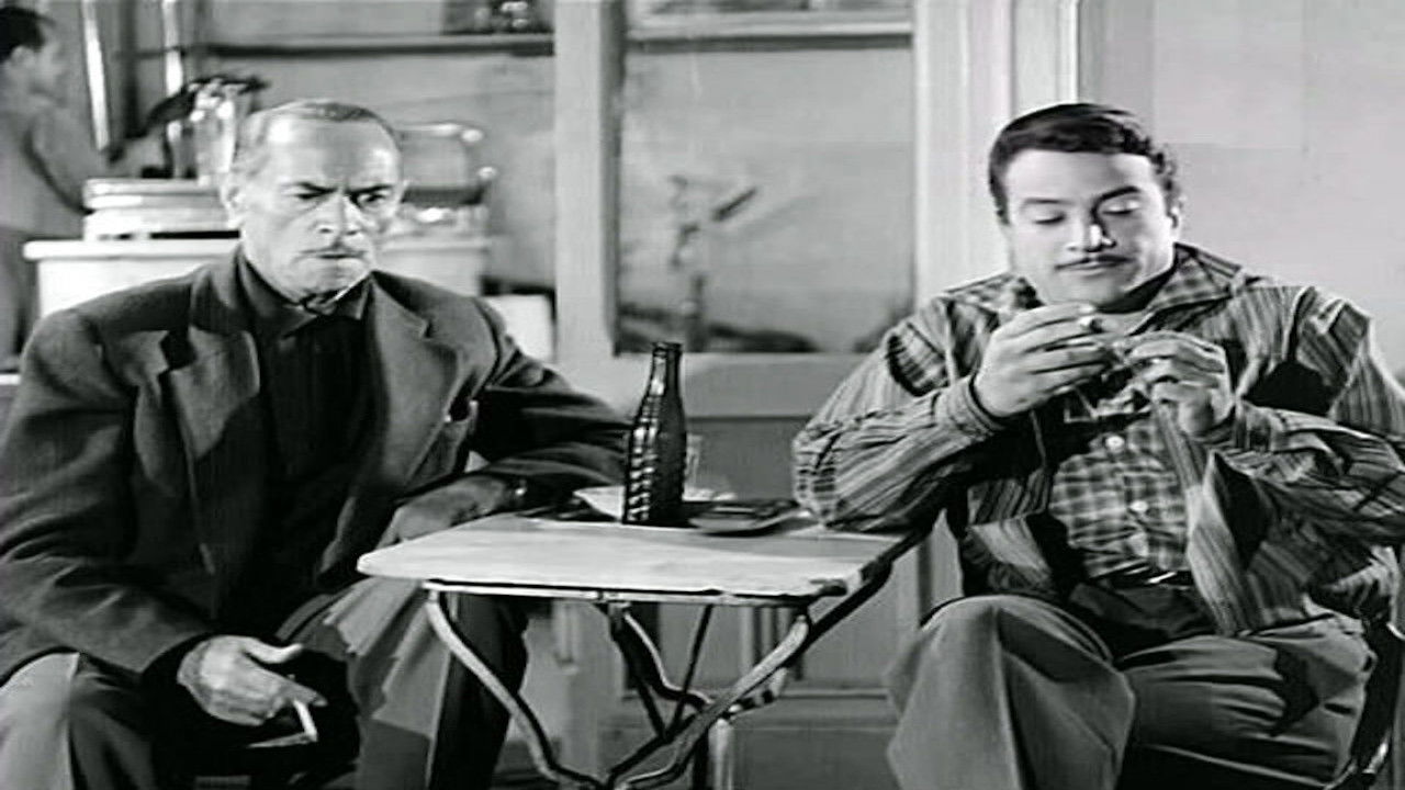 Backdrop for Alhaqibat alsawda