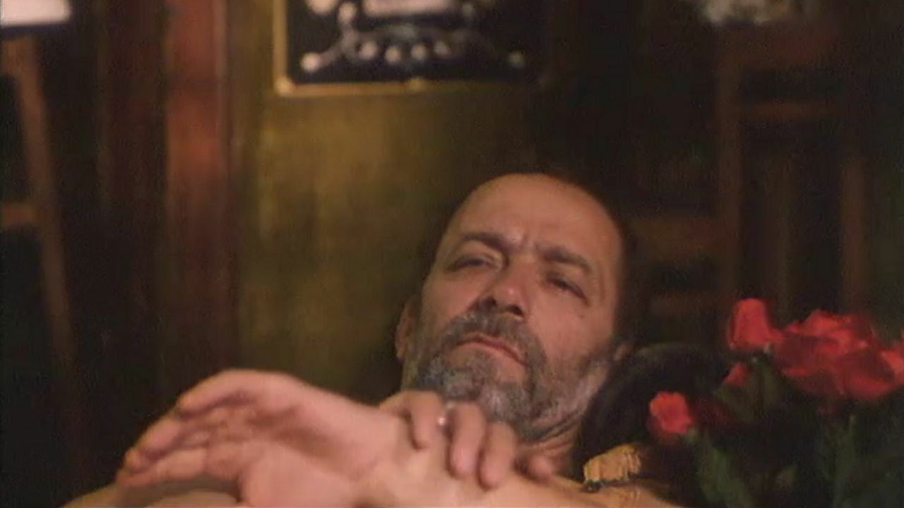 Backdrop for A Wolf Teeth Necklace