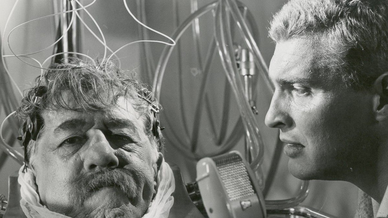 Backdrop for The Head