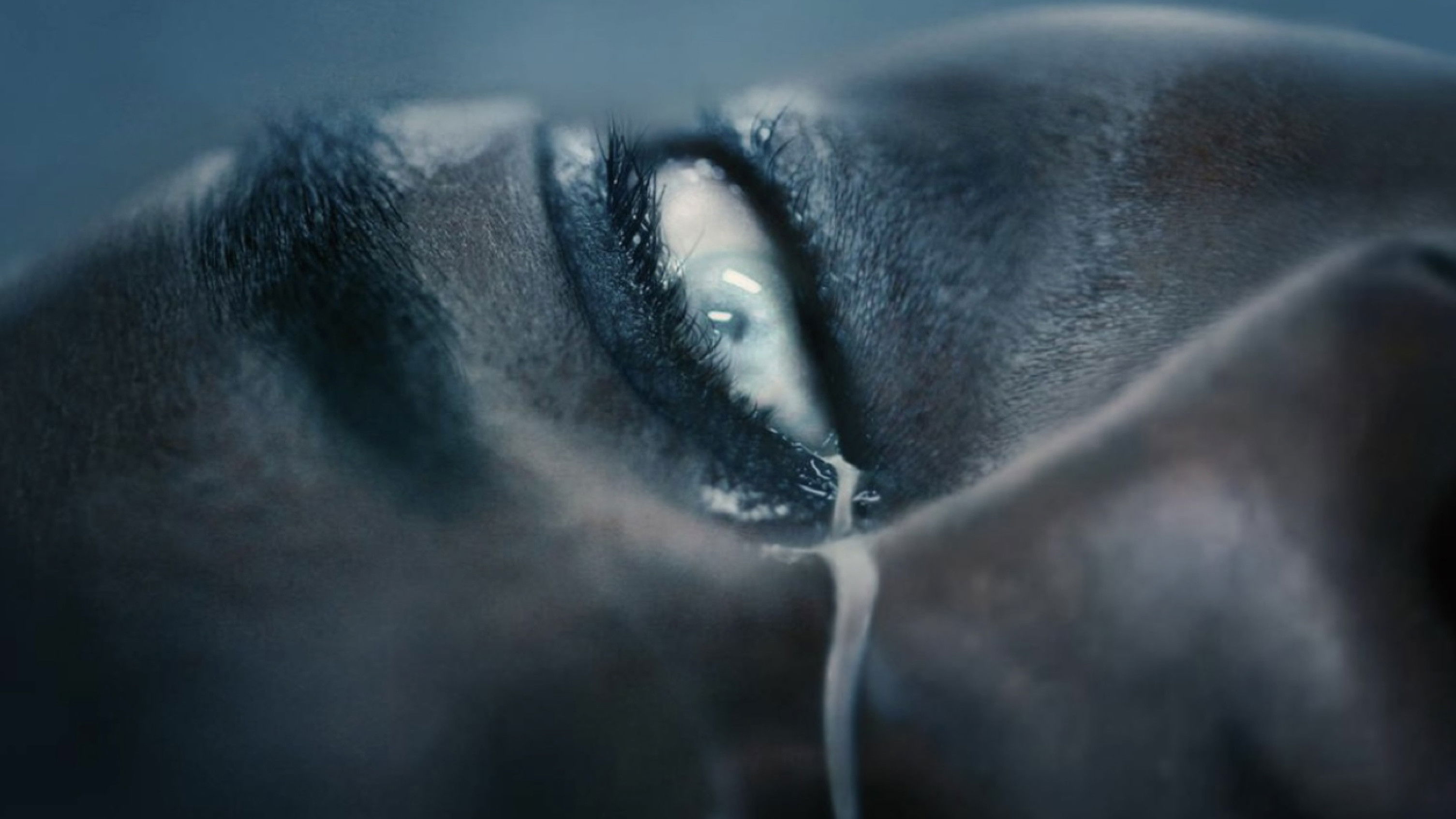 Backdrop for Spilled Milk