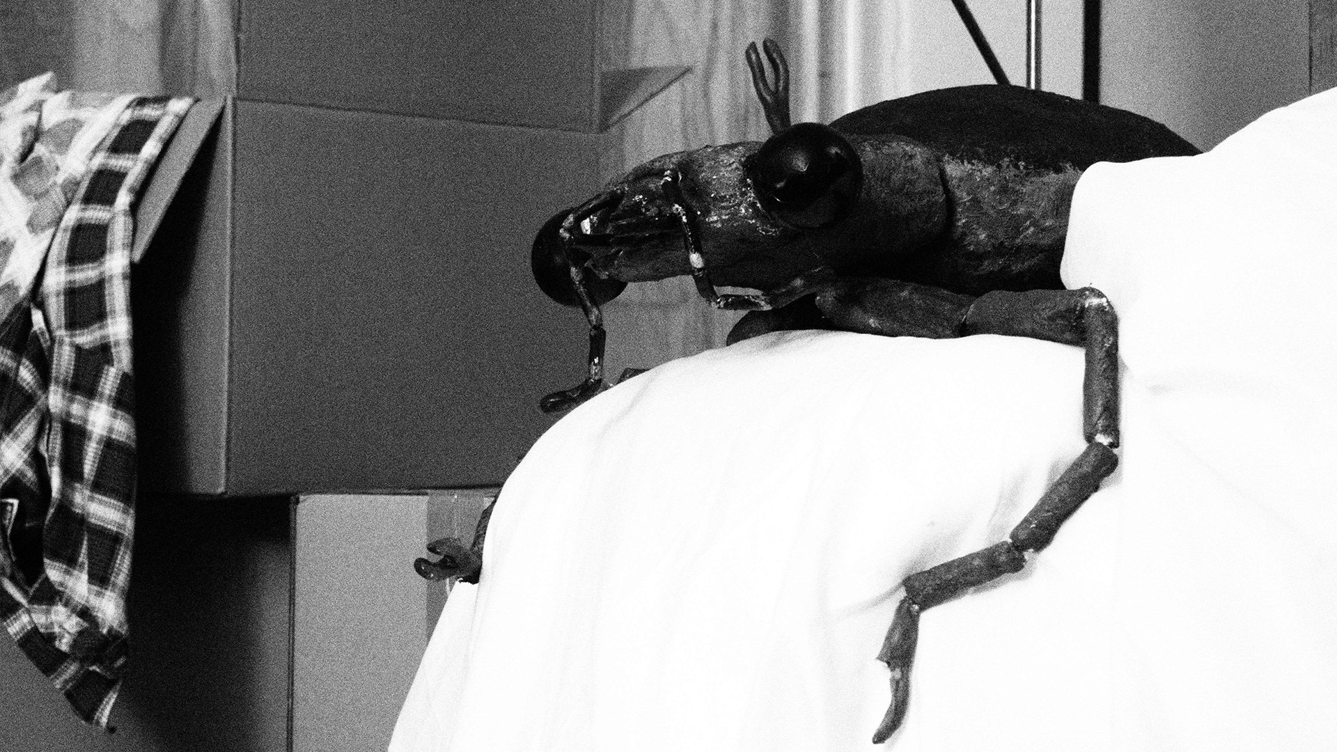 Backdrop for Bug in the Bathtub