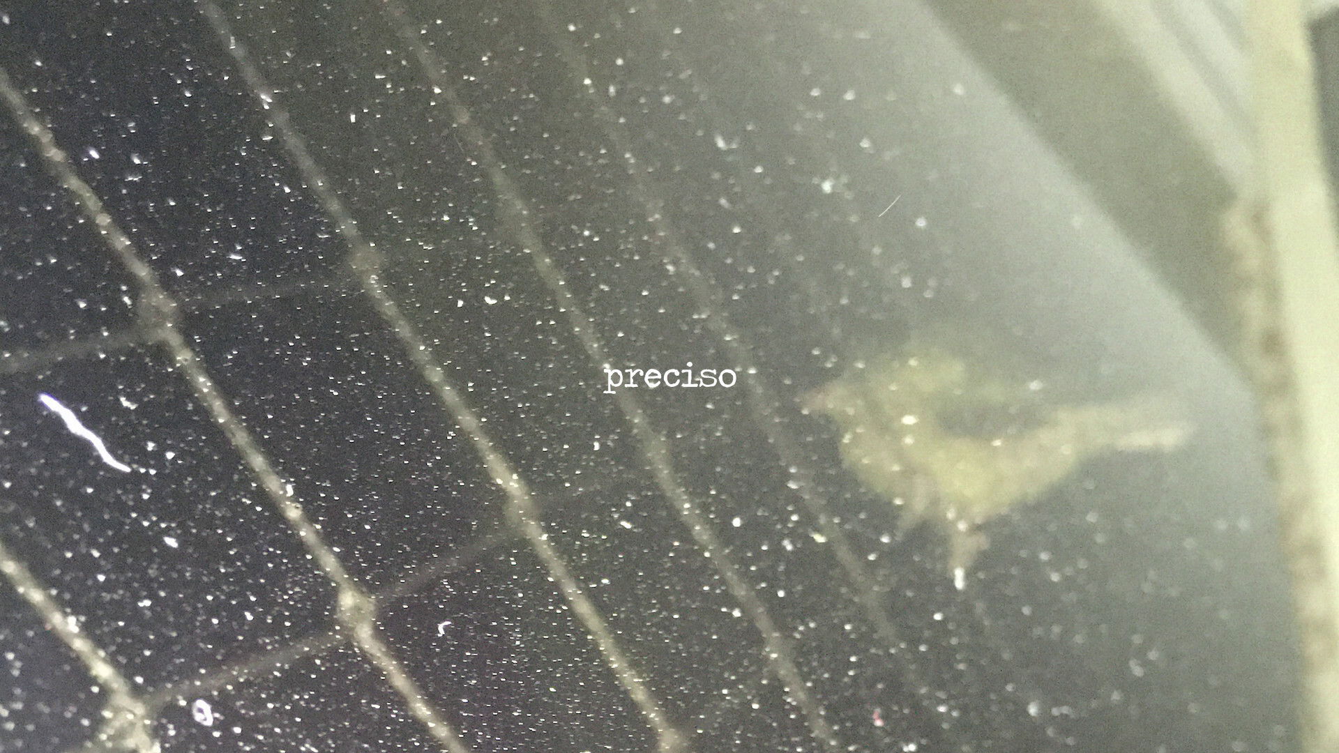 Backdrop for Self-defense