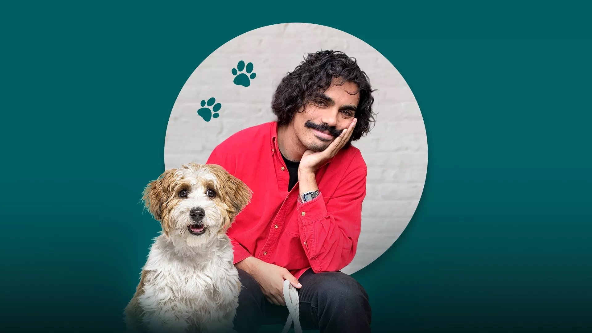 Backdrop for A Dog's World with Tony Armstrong