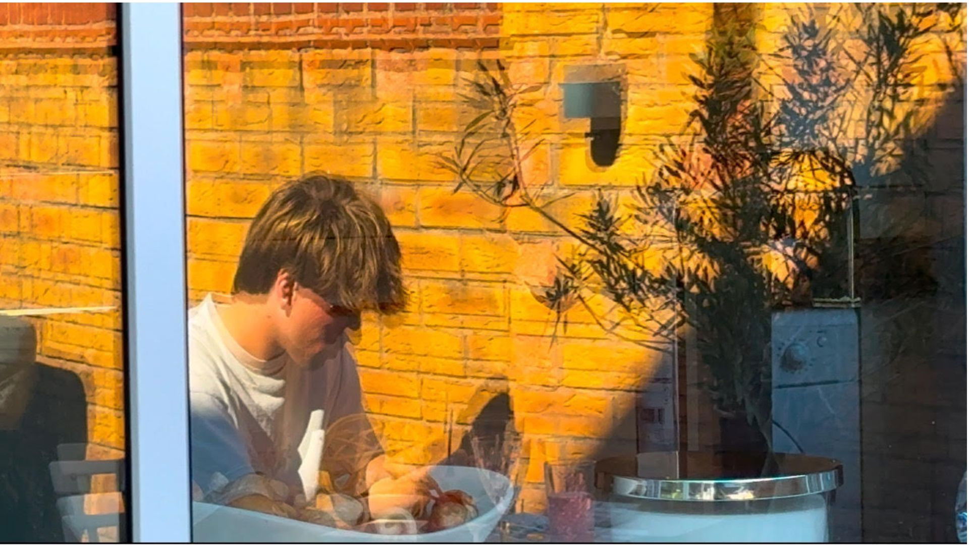 Backdrop for Aesthete