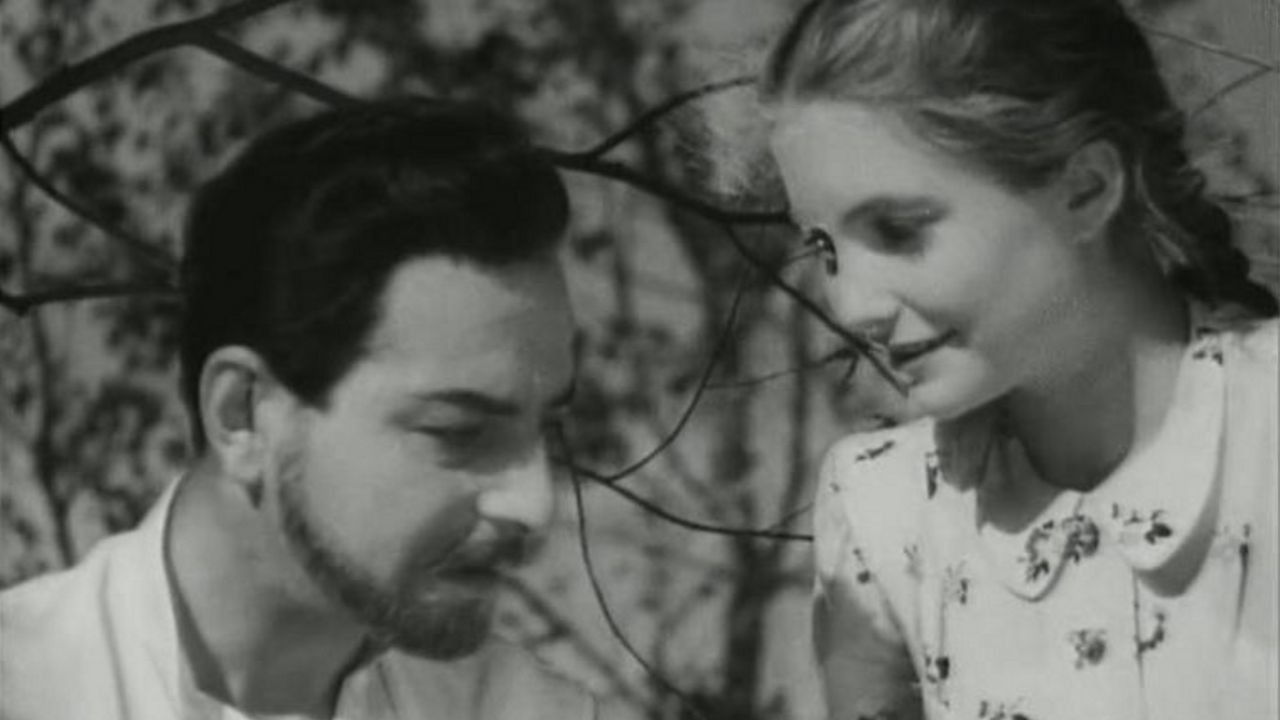 Backdrop for The Vow