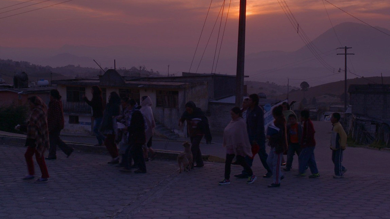 Backdrop for VII Domitilas