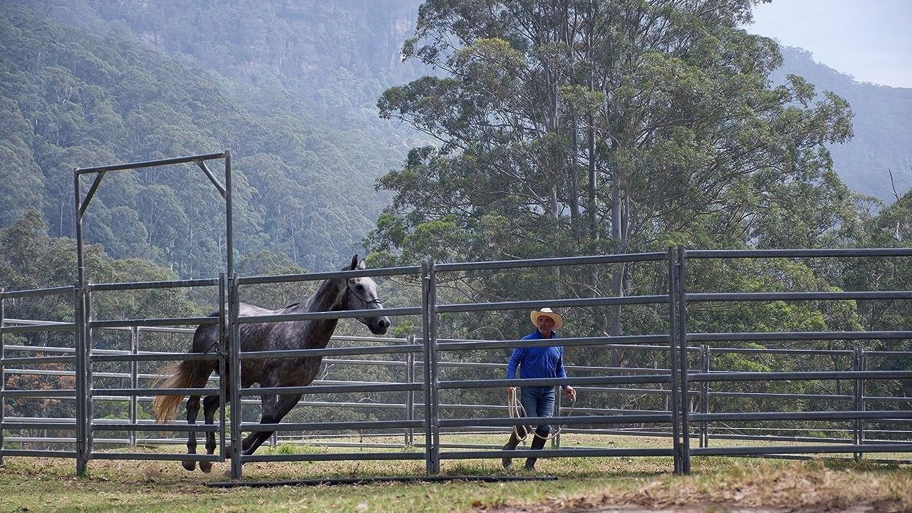 Backdrop for The Healing