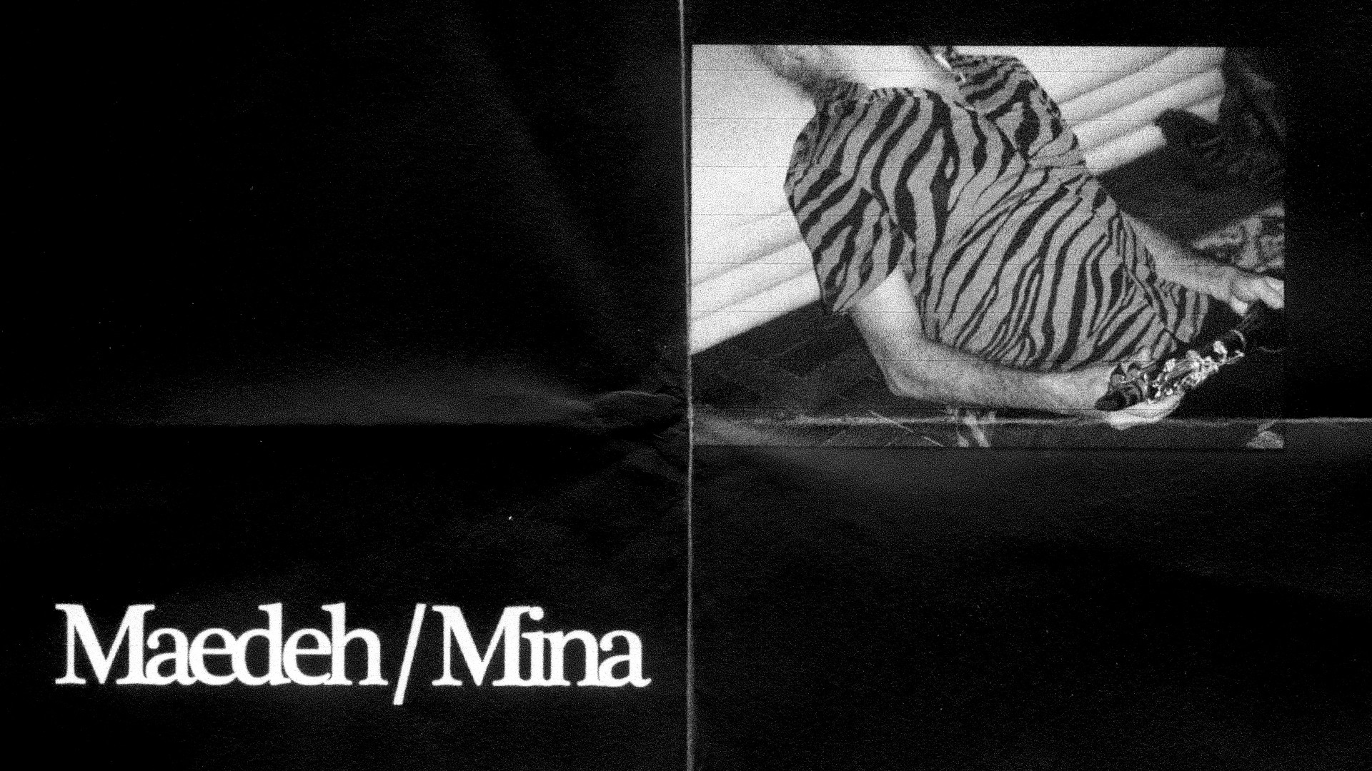 Backdrop for Maedeh/Mina