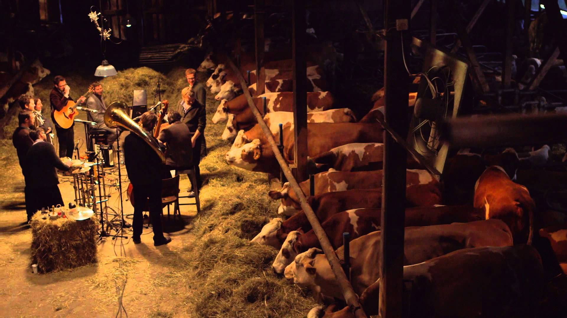 Backdrop for LaBrassBanda: Kiah Royal