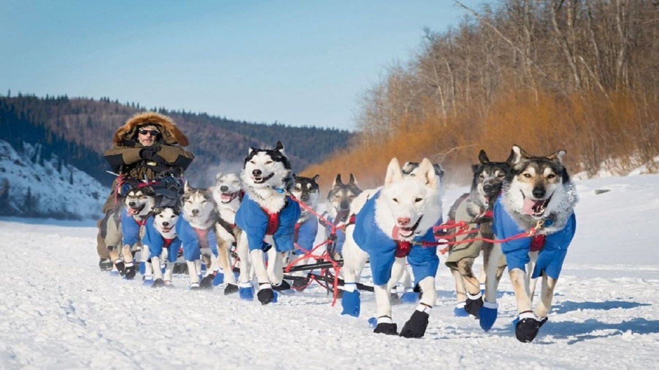 Backdrop for Siberian Odyssey