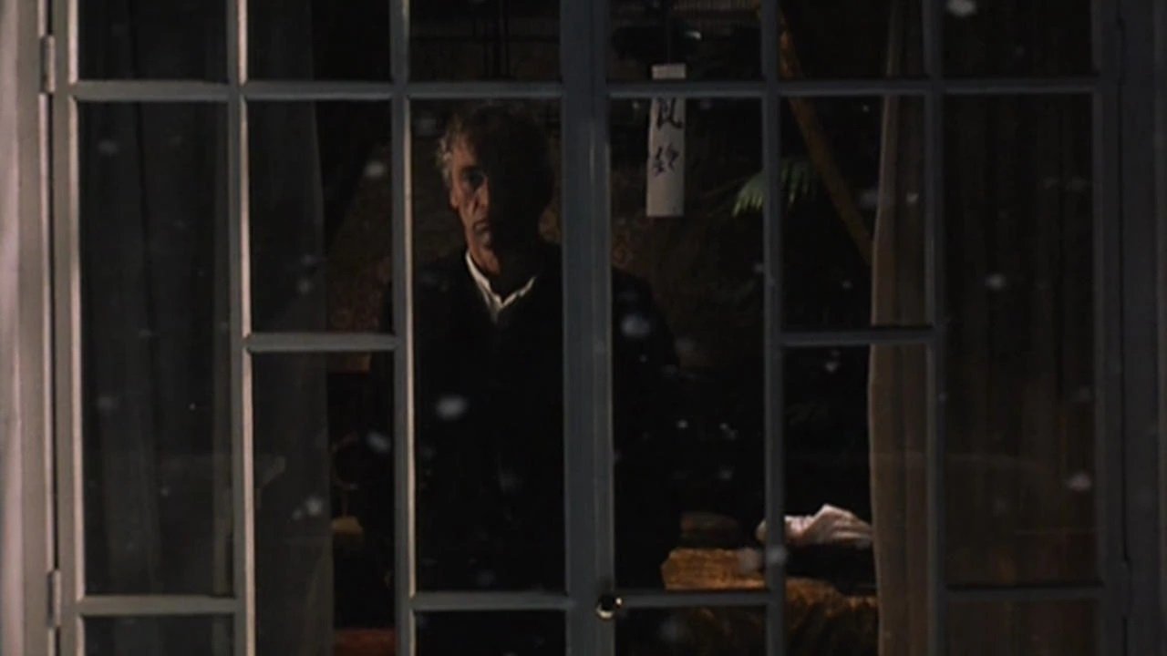 Backdrop for Felice… Felice…