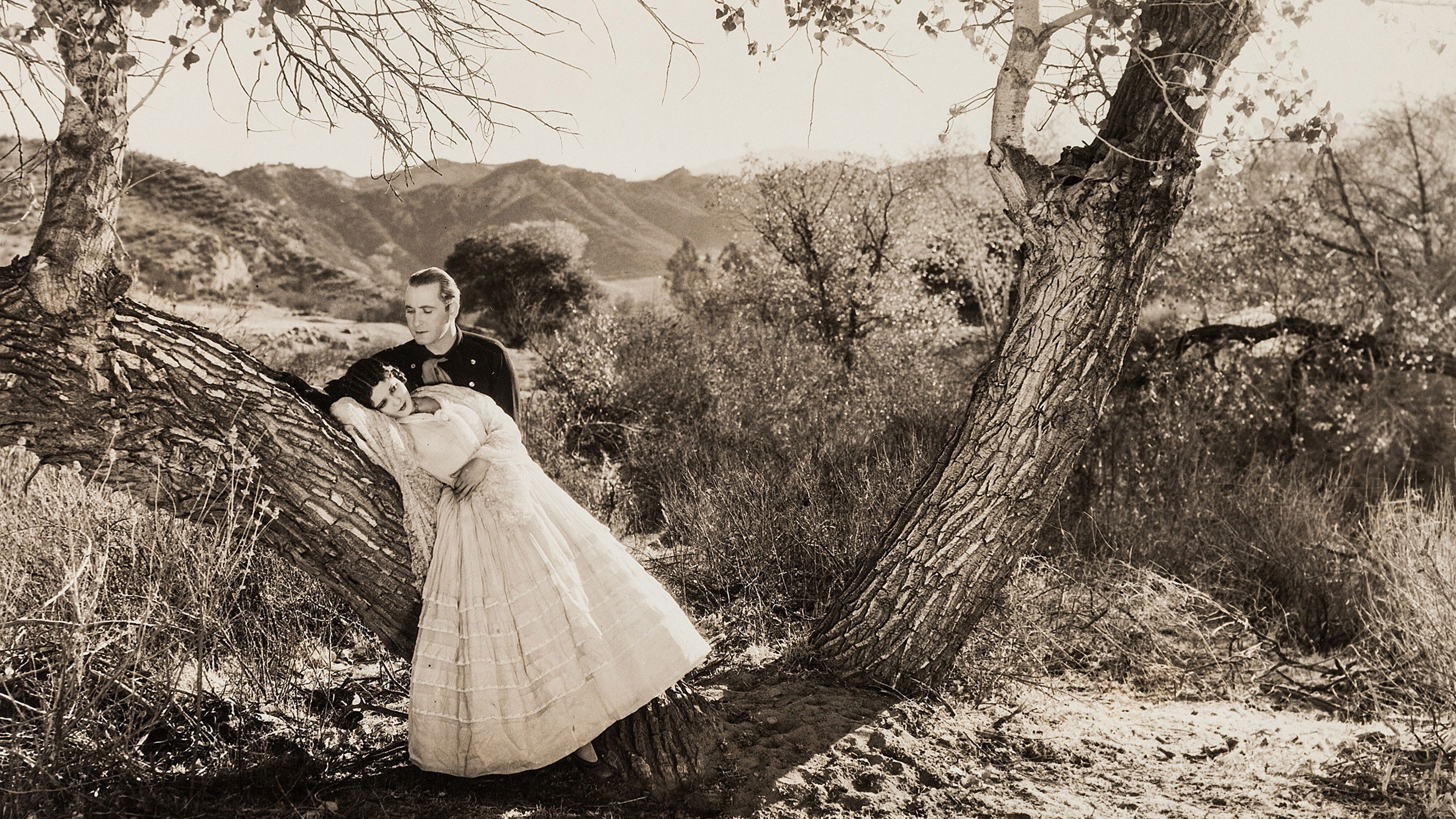 Backdrop for The Desert Rider