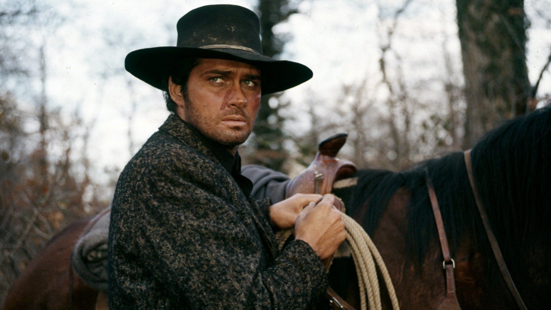 Backdrop for Today We Kill, Tomorrow We Die!