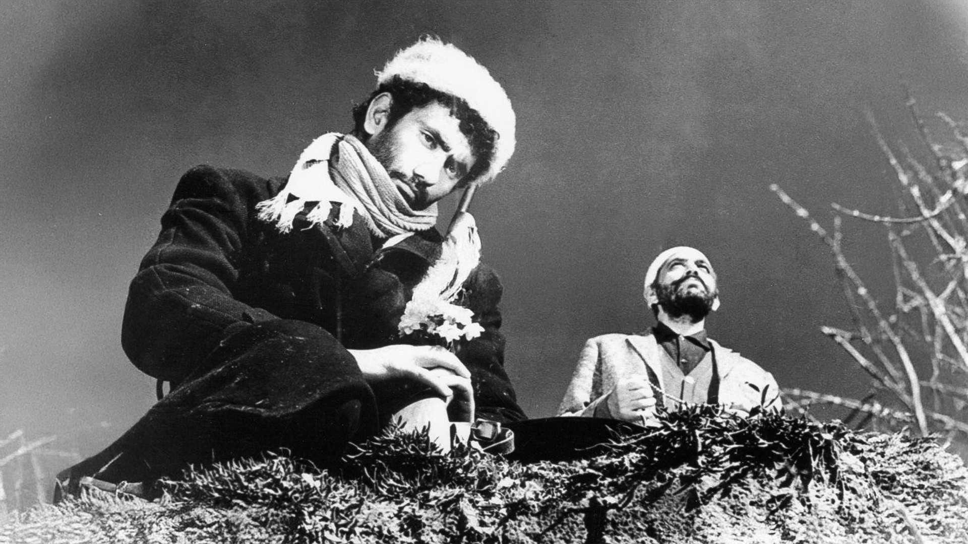 Backdrop for Bride of the Earth