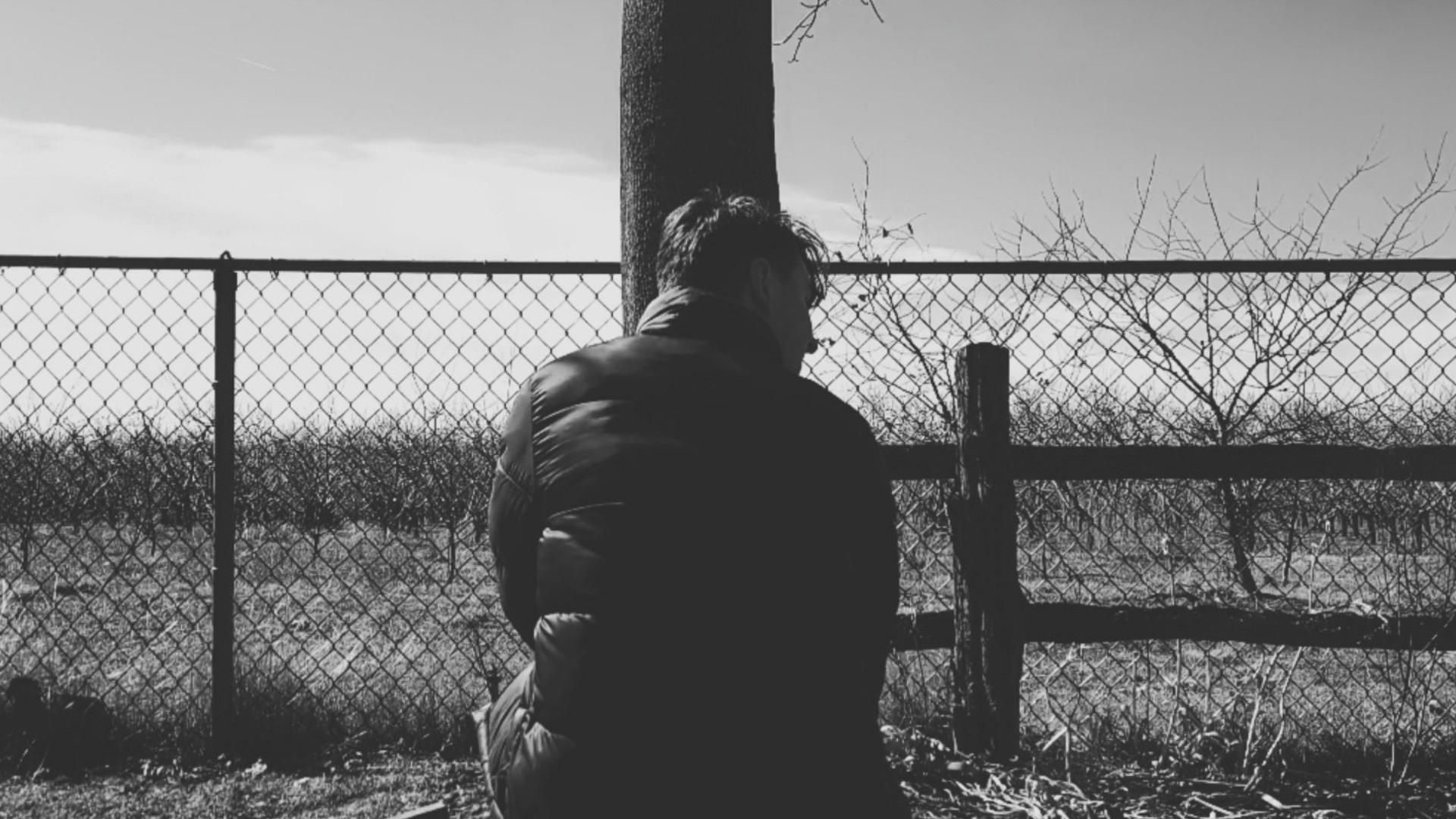 Backdrop for Seasonal Severity