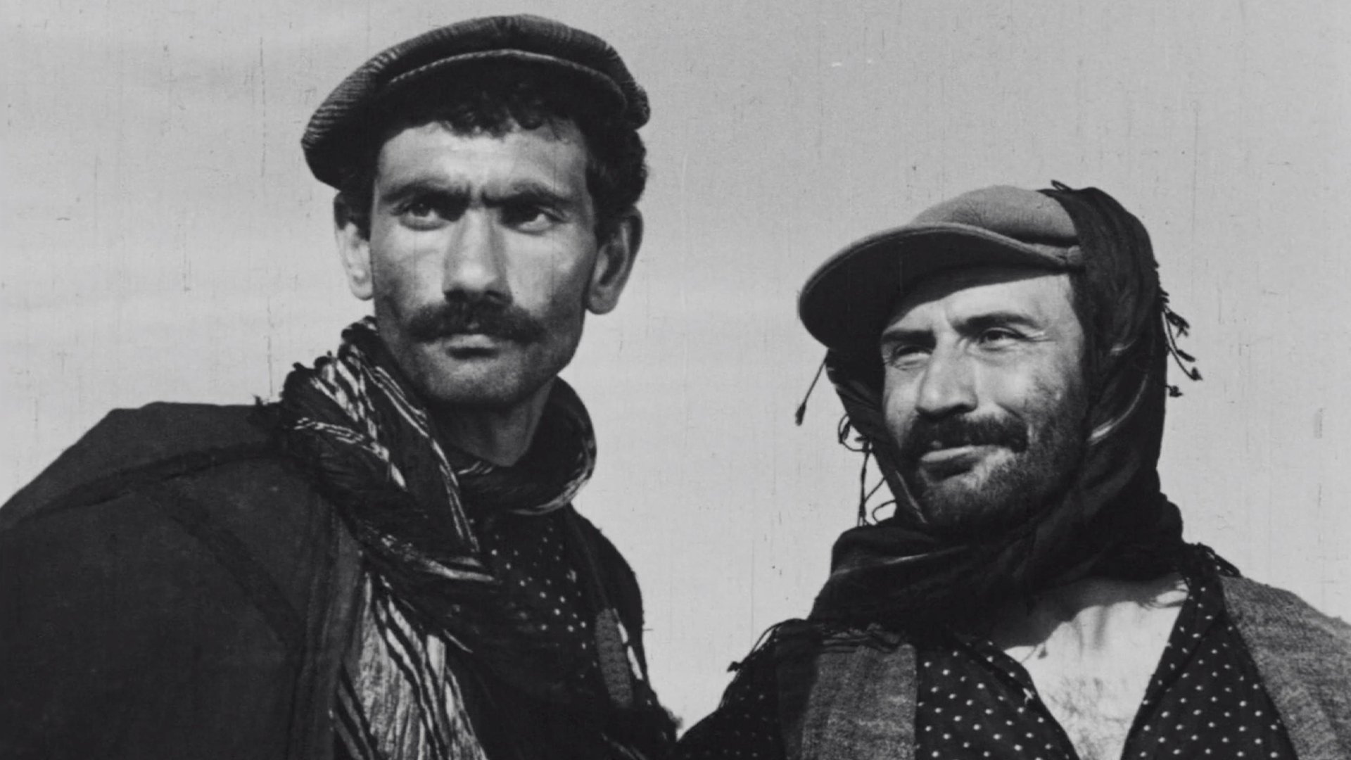 Backdrop for Law of the Border