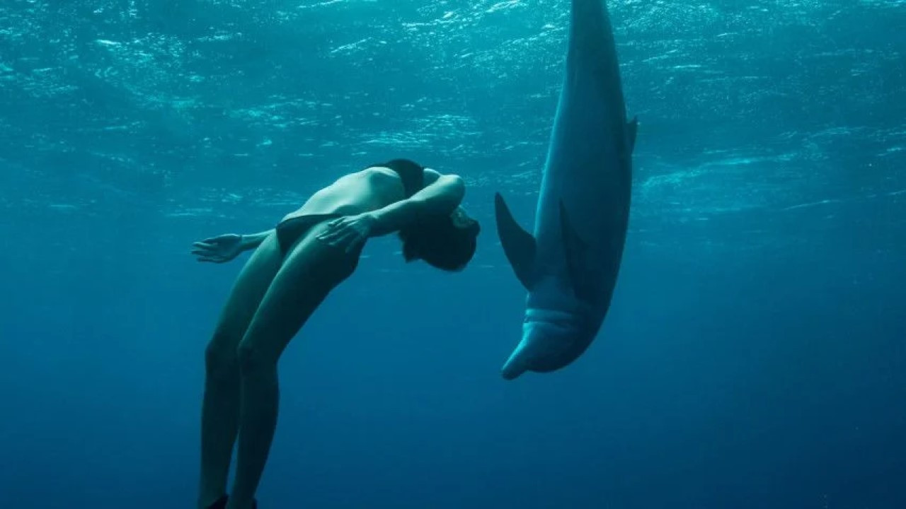 Backdrop for The Journey: Mother Ocean