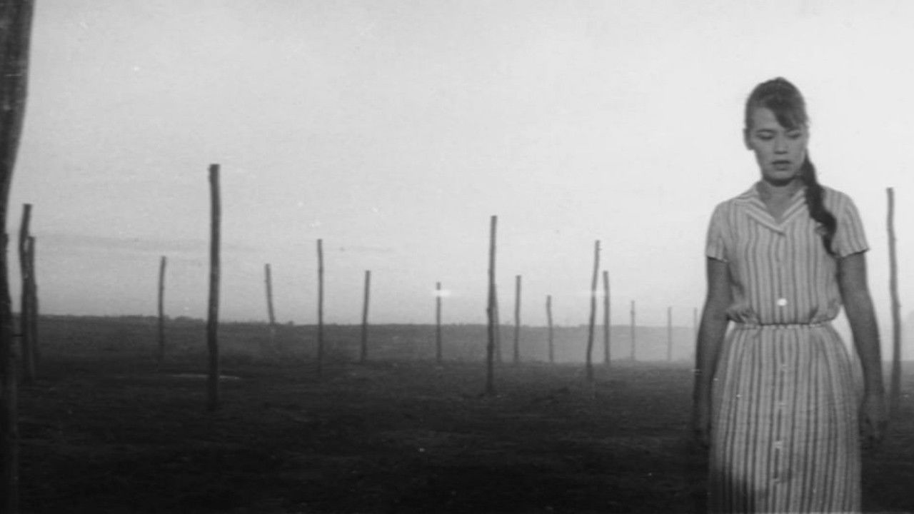 Backdrop for Extra Grain