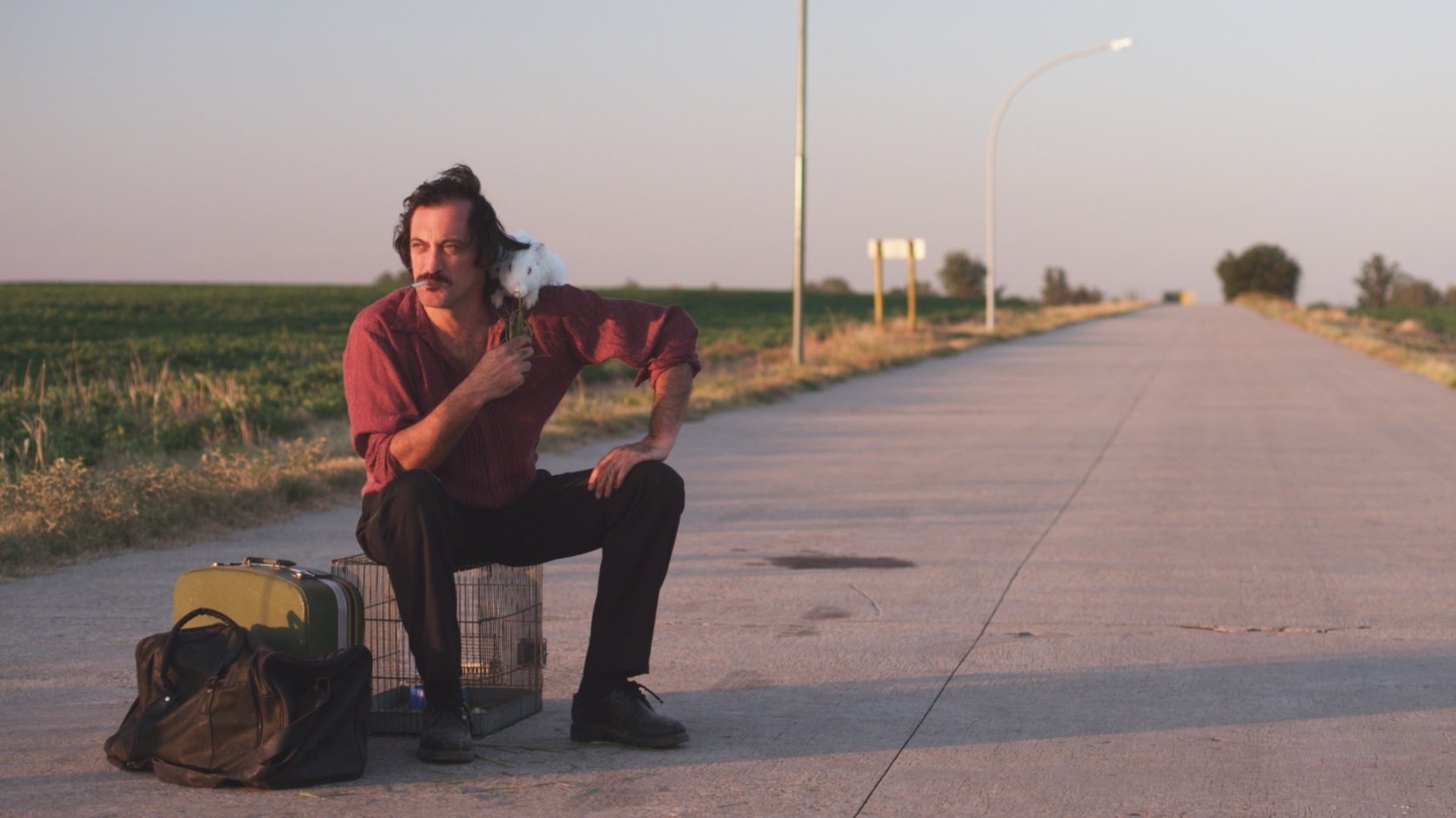 Backdrop for A Moonless Night