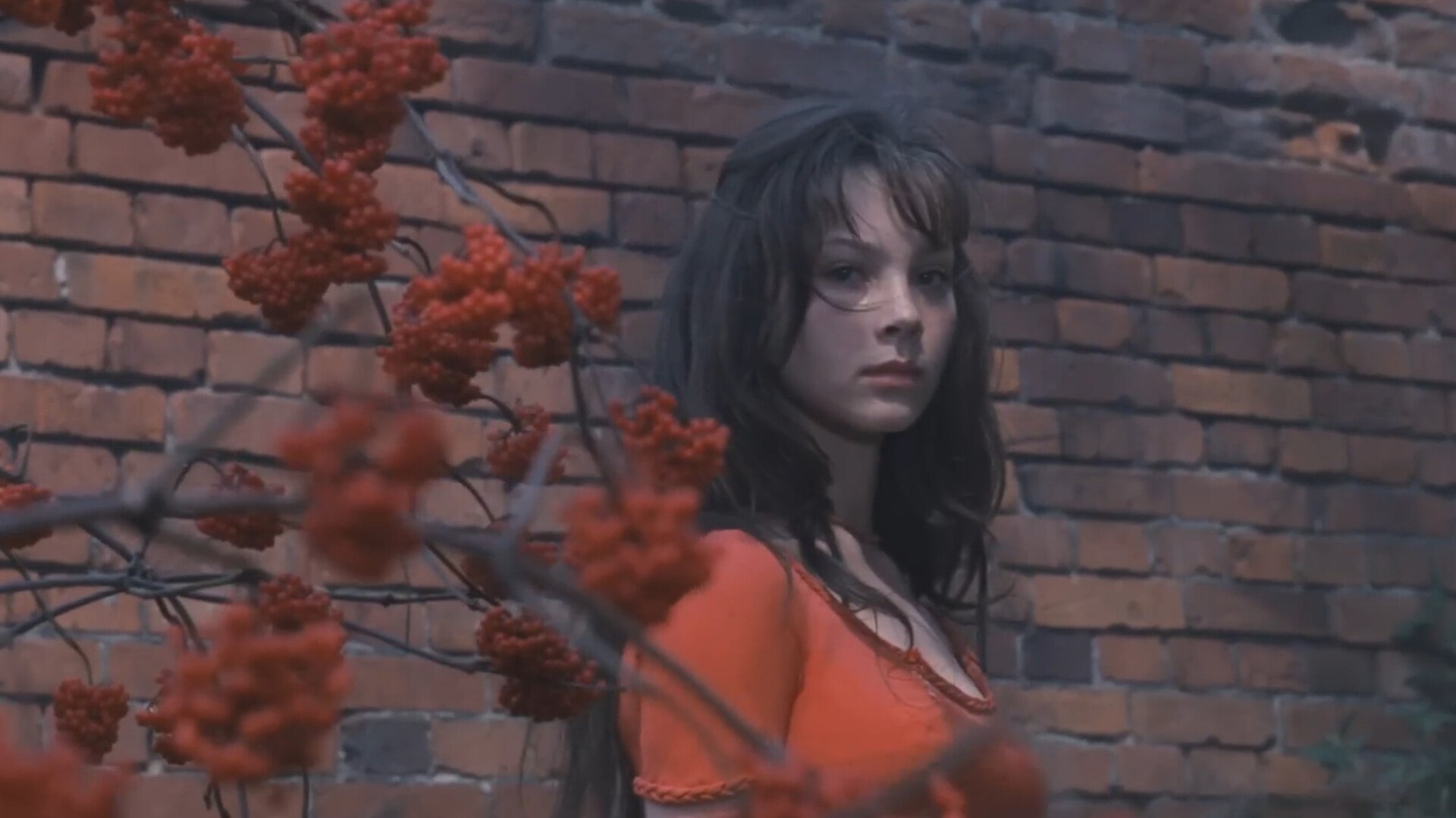 Backdrop for My Tender and Affectionate Beast