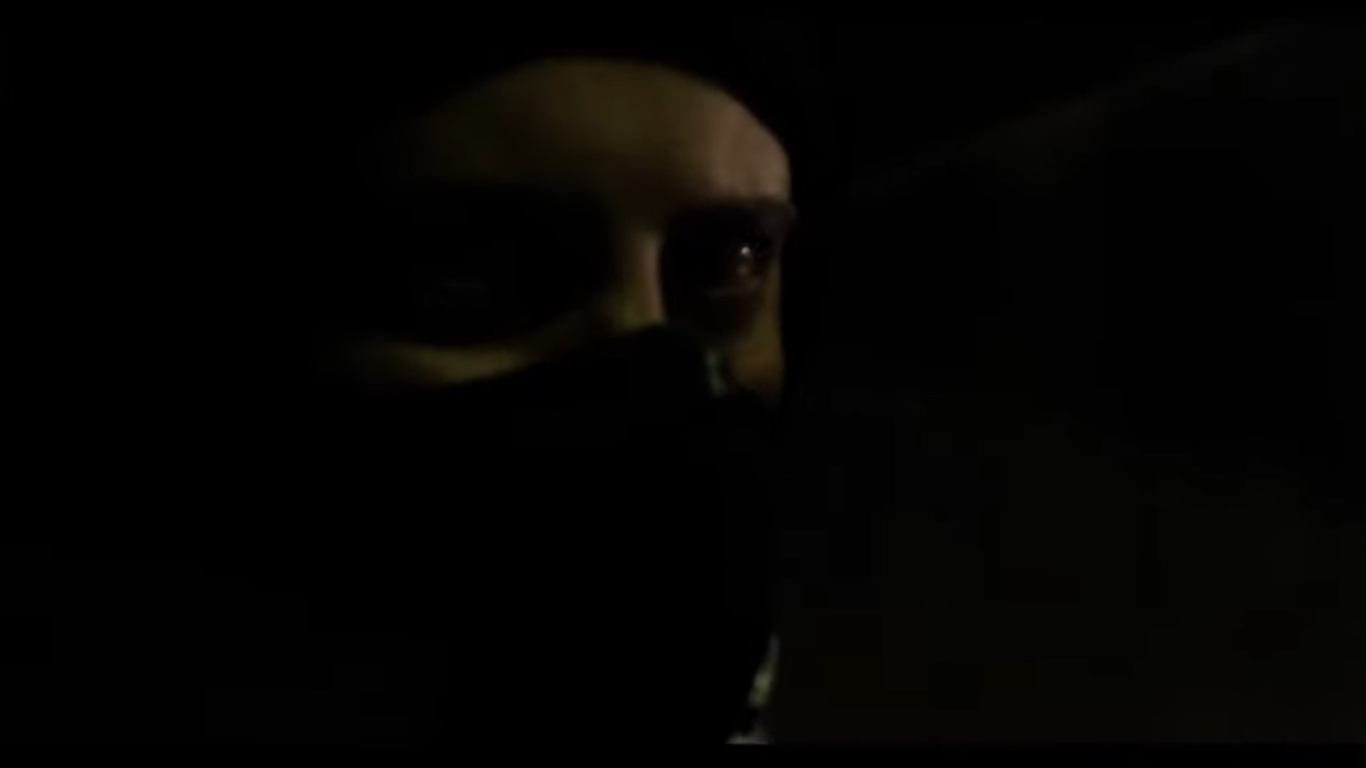 Backdrop for The Witness