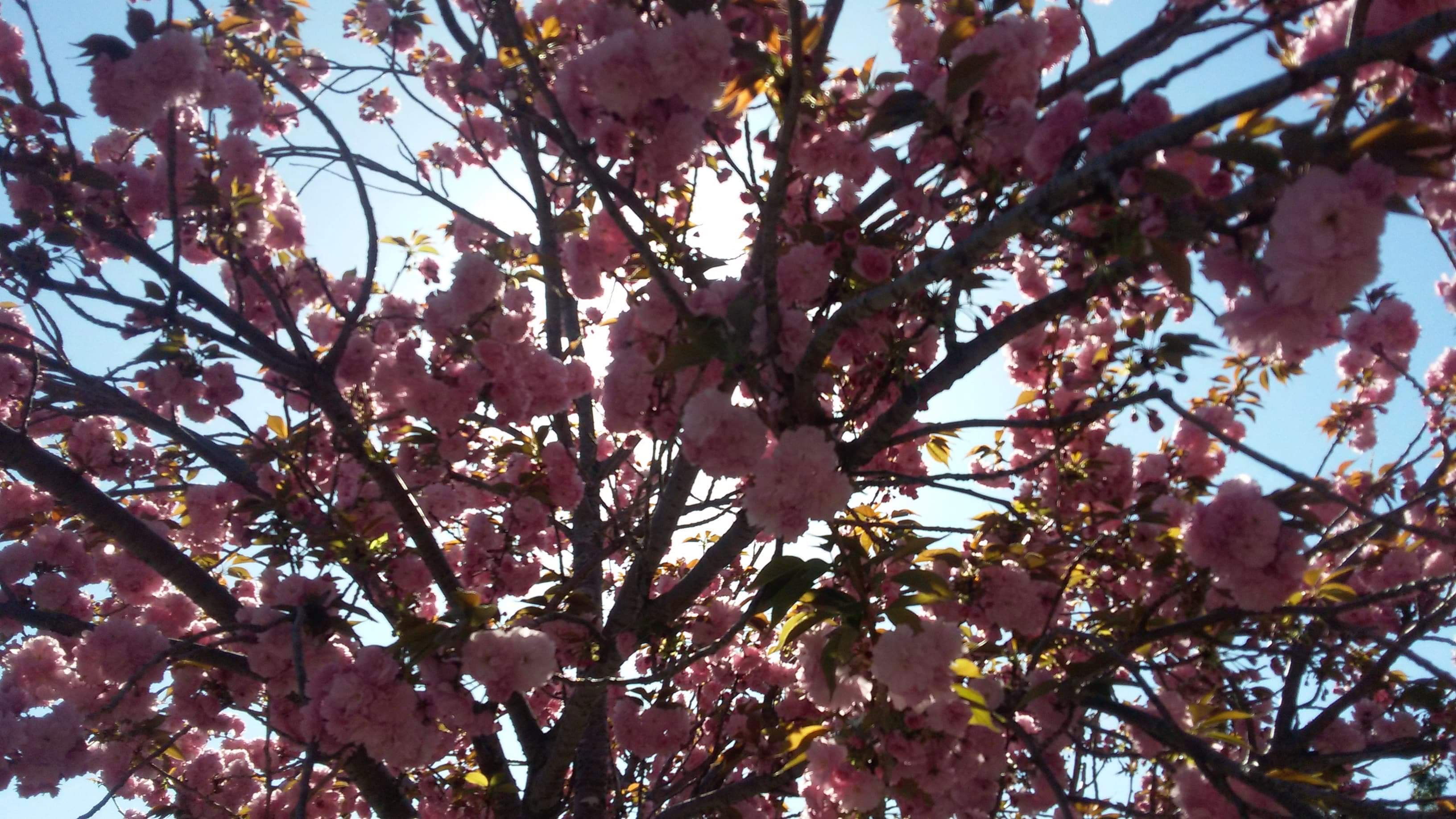 Backdrop for Paranoia