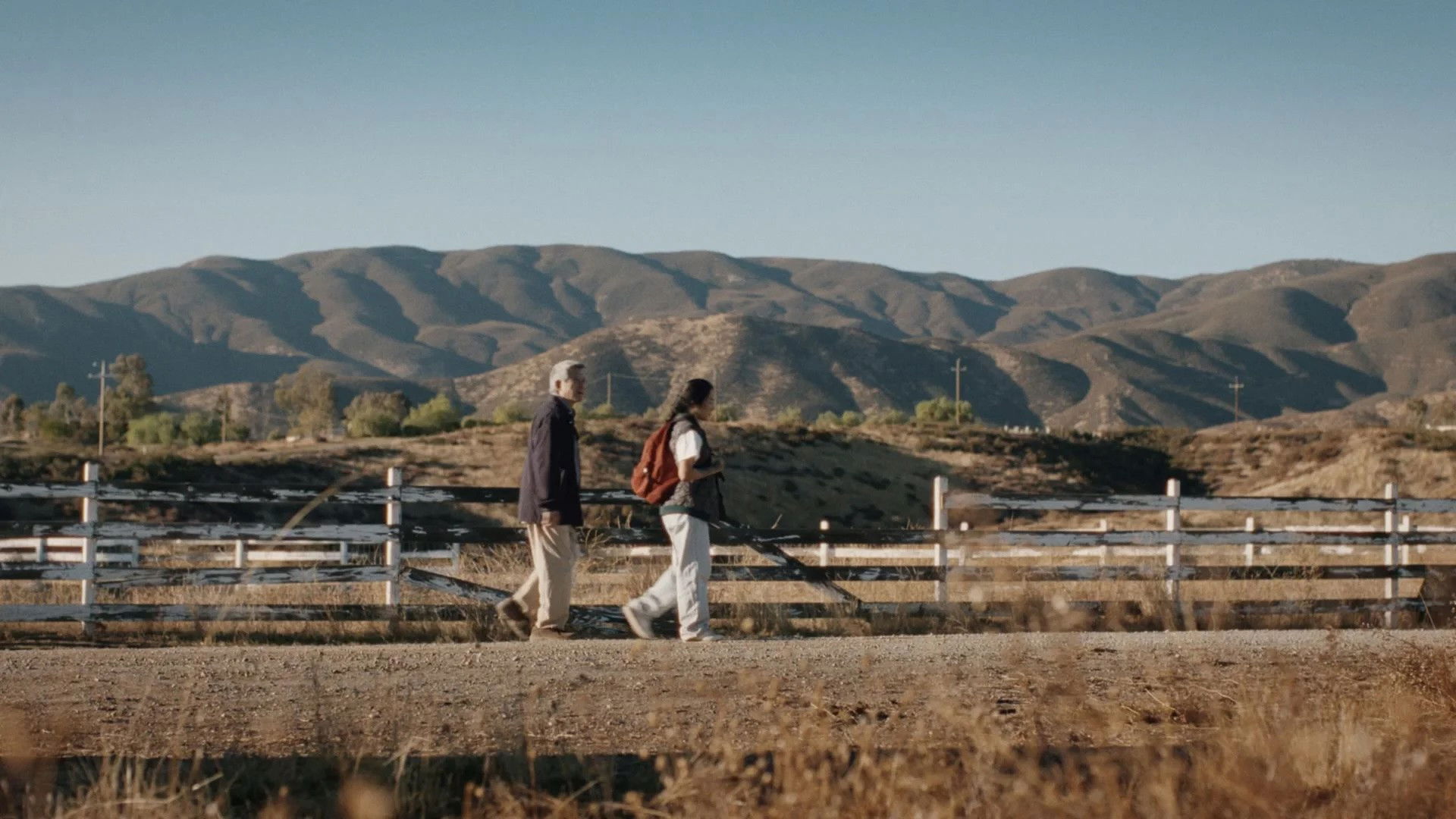 Backdrop for Oldman's Blues