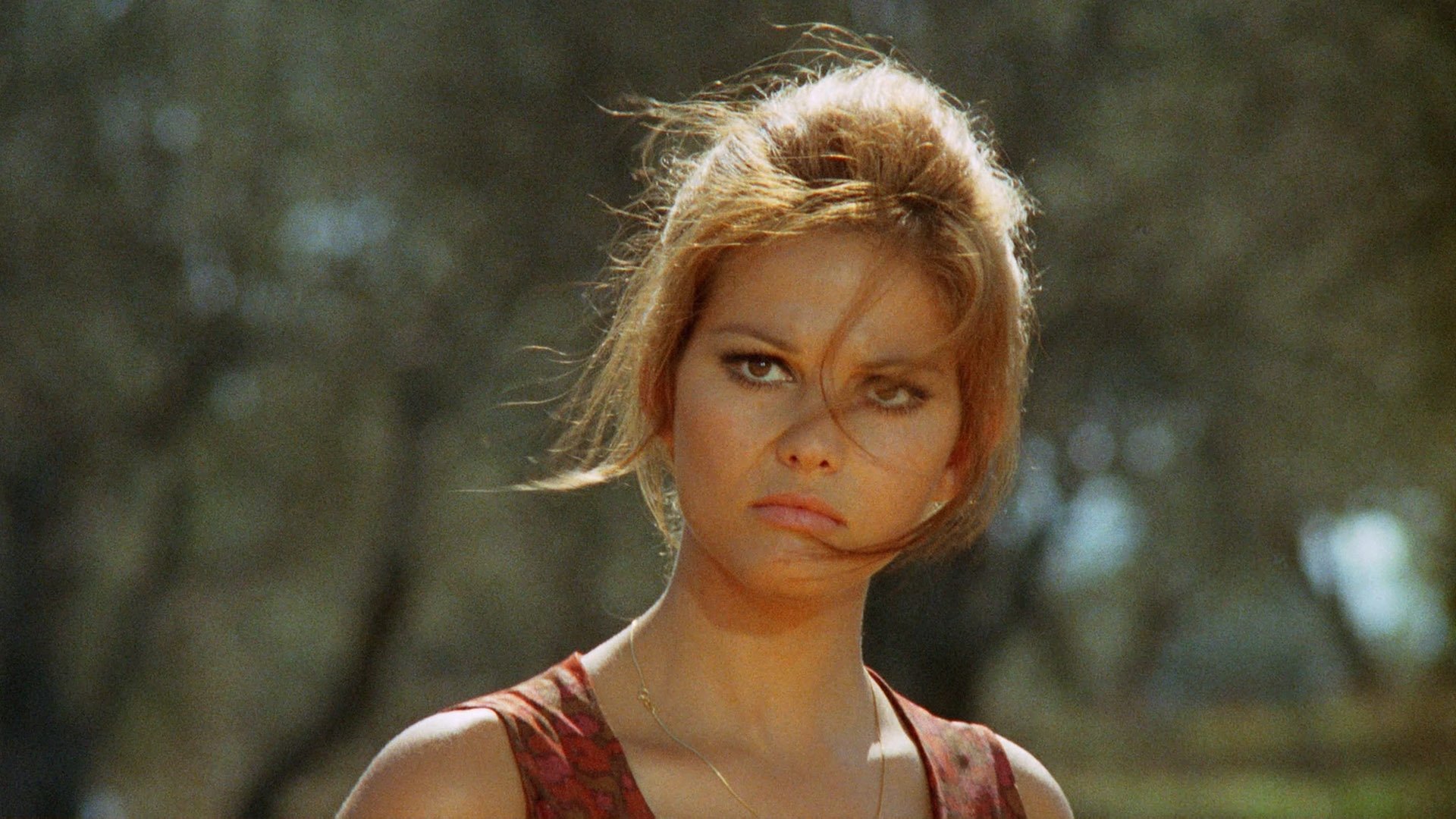 Backdrop for The Day of the Owl